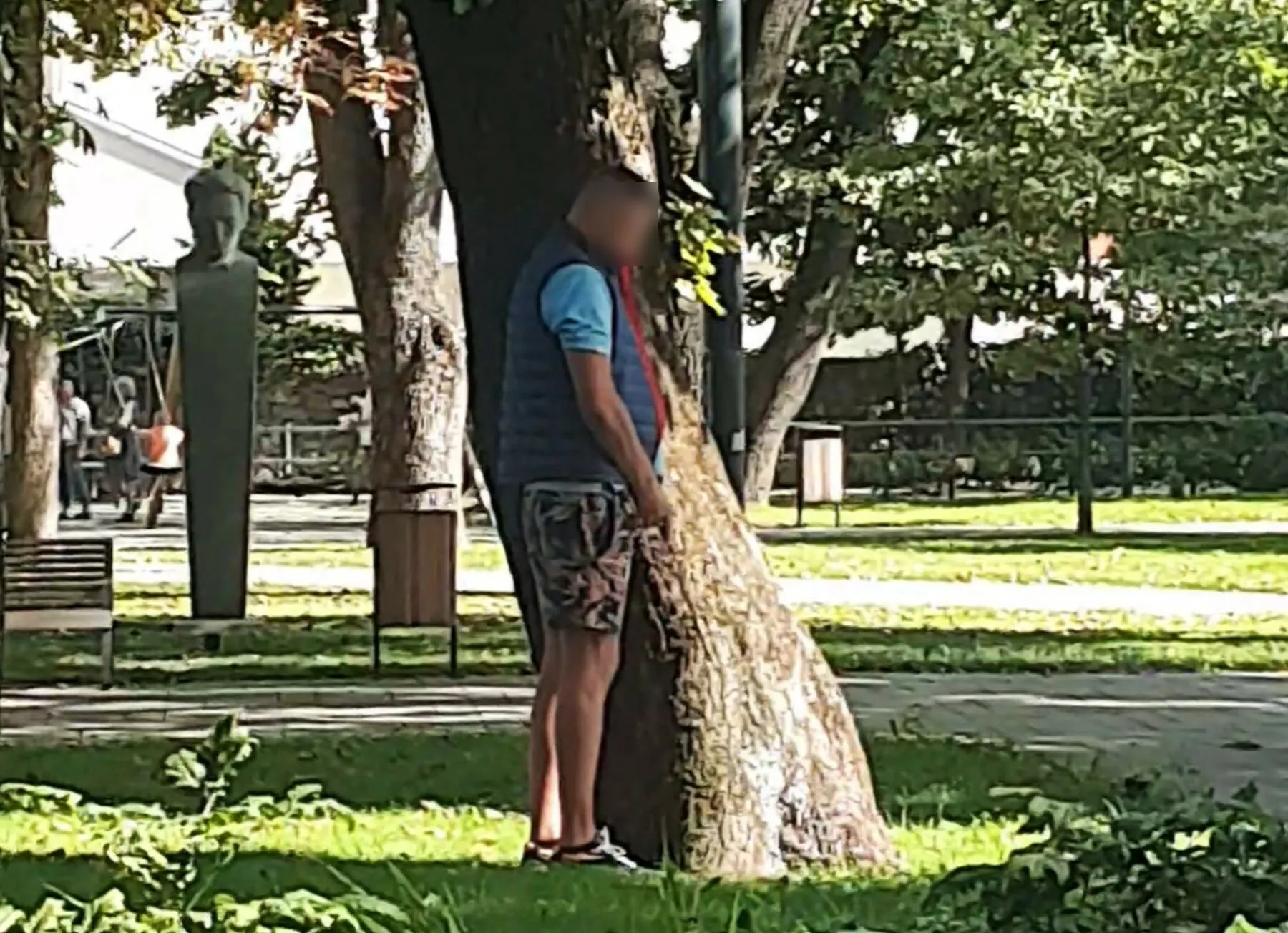 Muzikinio teatro sodelyje apšlapino medį