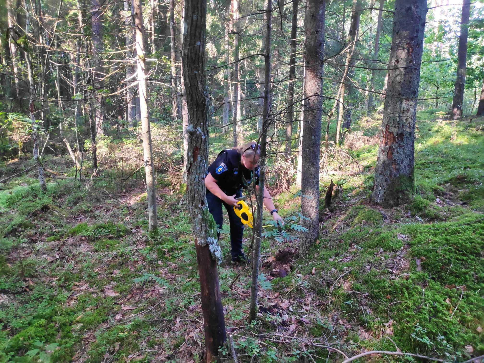 Pravieniškių miške rasta mina