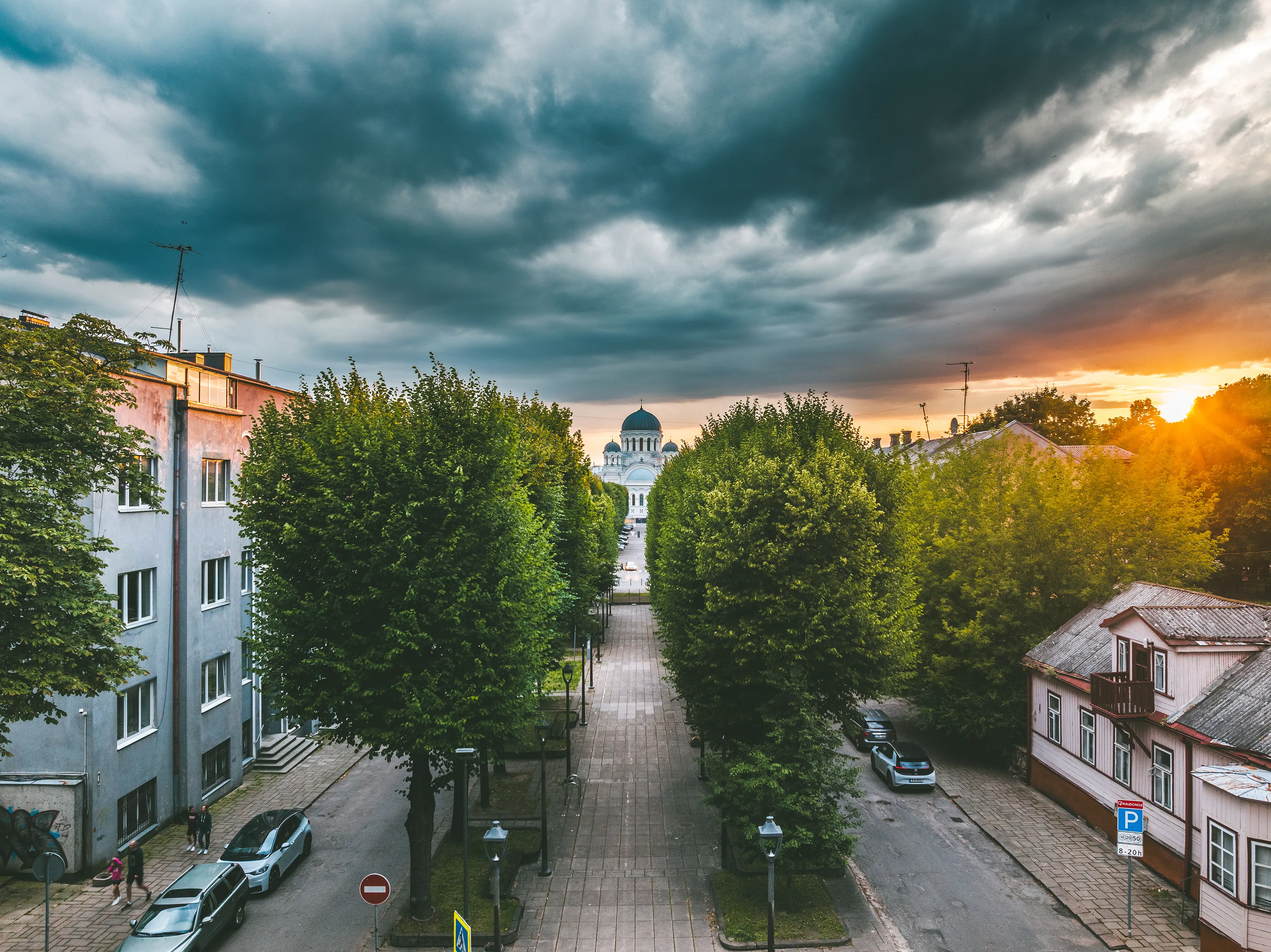 Laisvės alėjos liepos