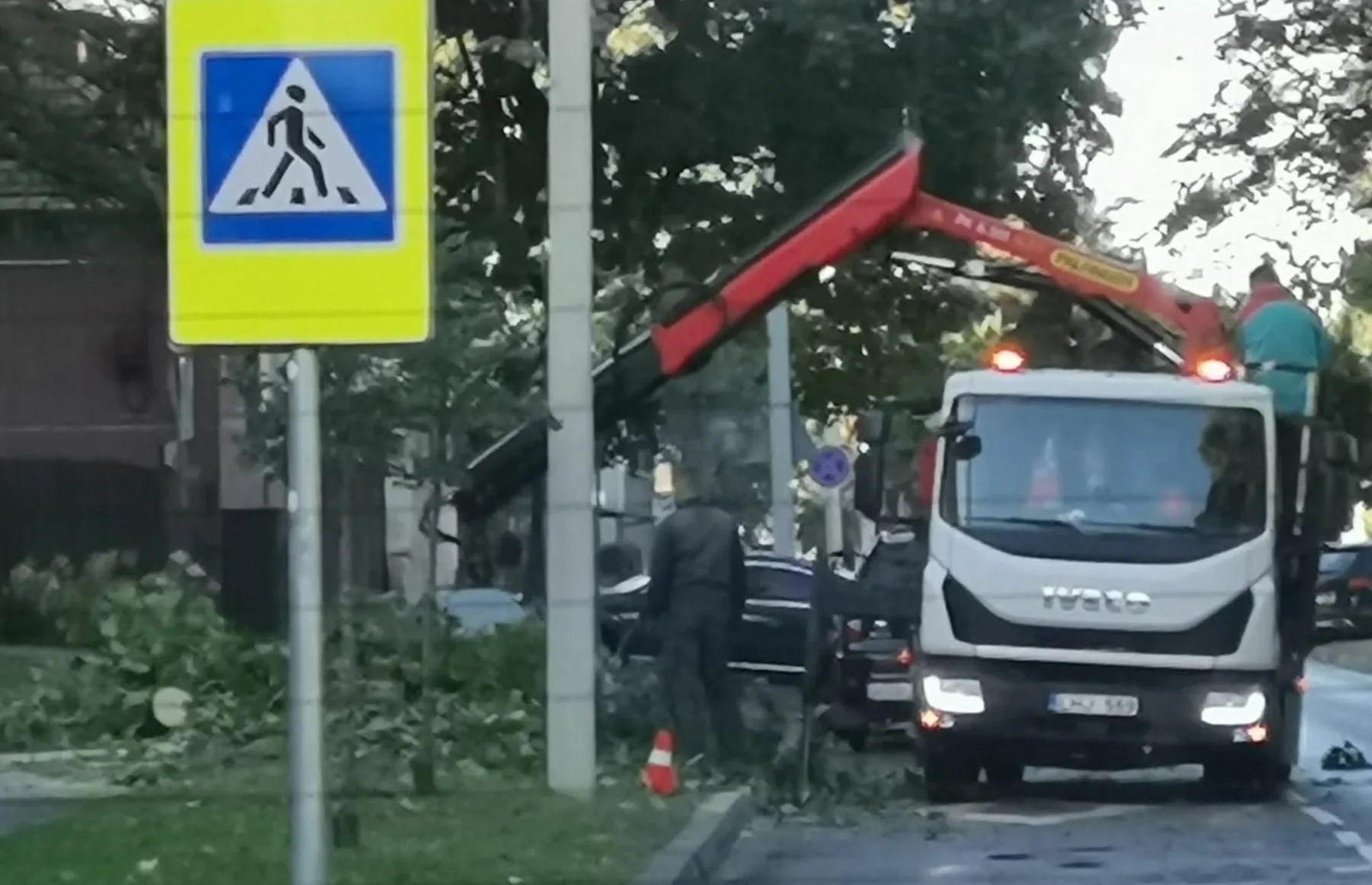 Klevas Aukštaičių gatvėje