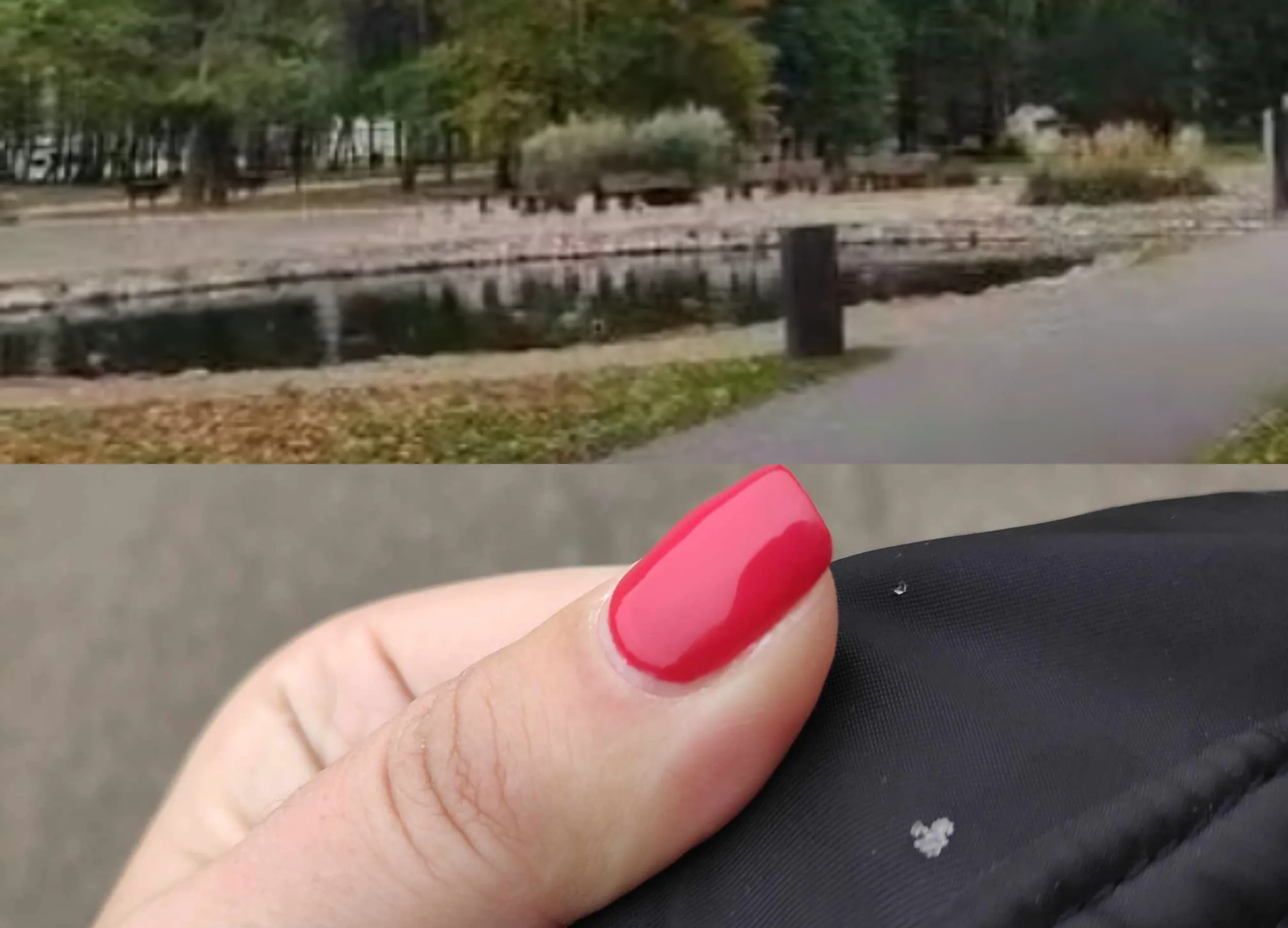 Pirmas sniegas Kaune