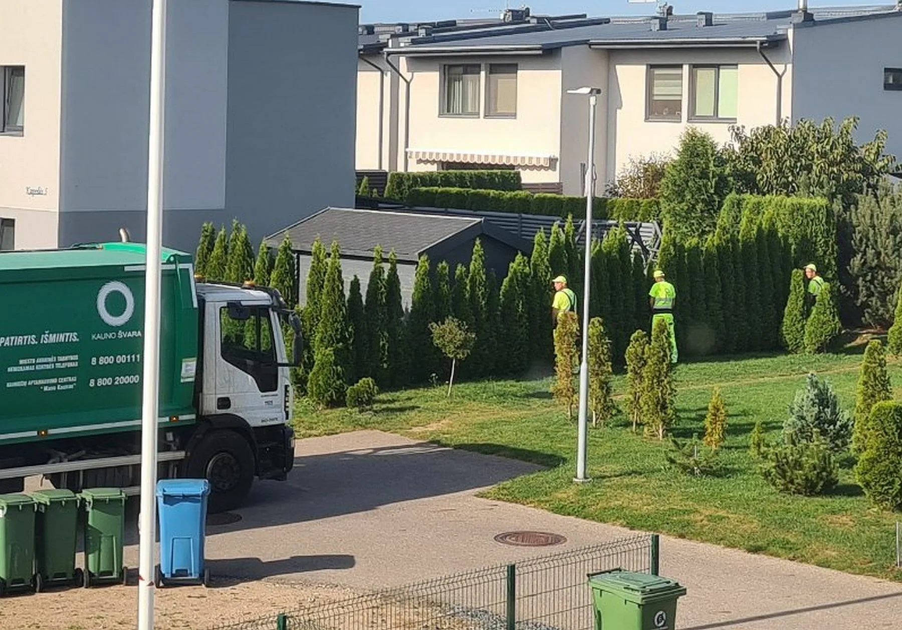 „Kauno švaros“ darbuotojai Domeikavo apšlapino tujas