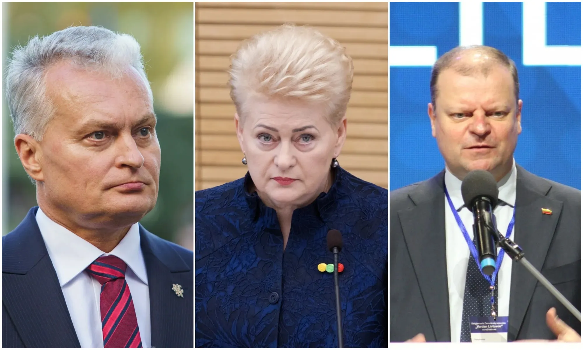 G. Nausėda, D. Grybauskaitė, S. Skvernelis