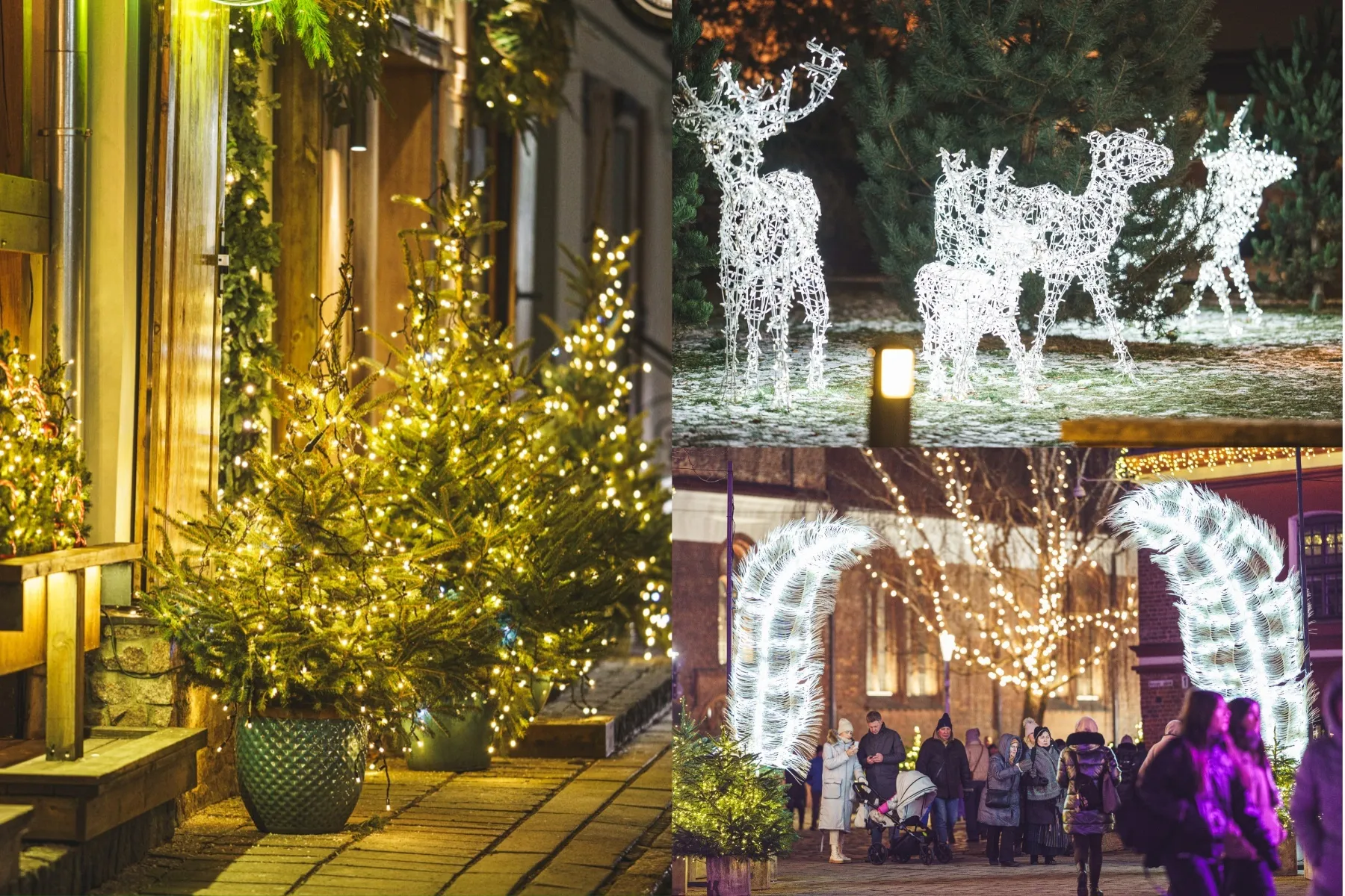 Kalėdinė Santaka ir Senamiestis