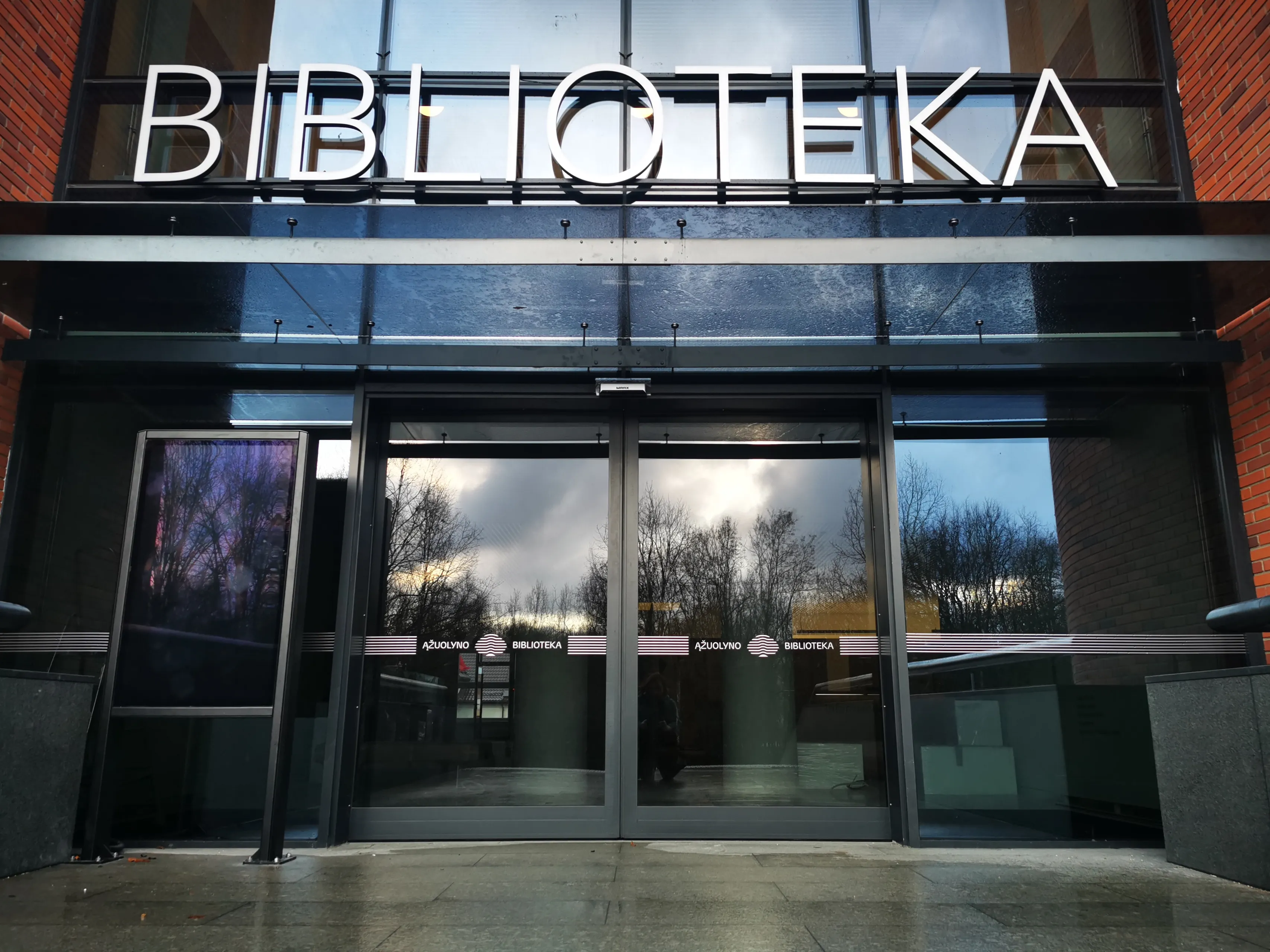 biblioteka_04 V.Gedzevičiūtė