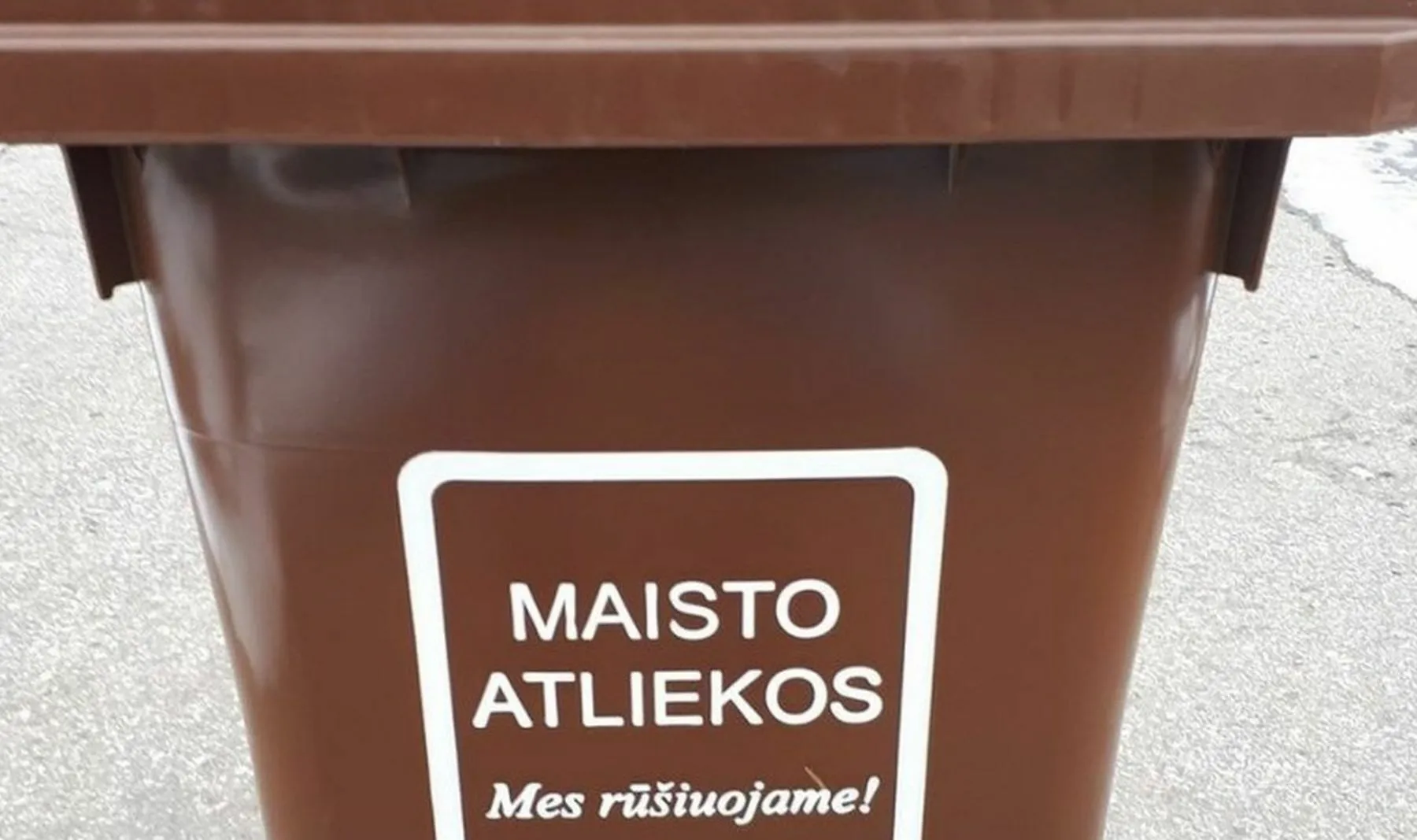 Maisto atliekų konteineris