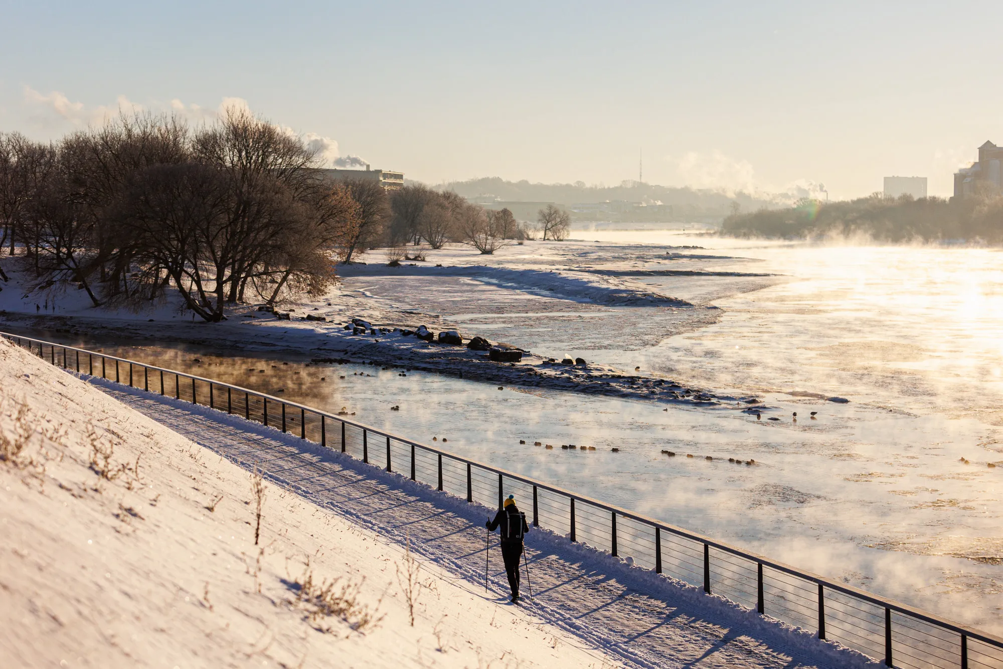 Nemuną sukaustęs šaltis