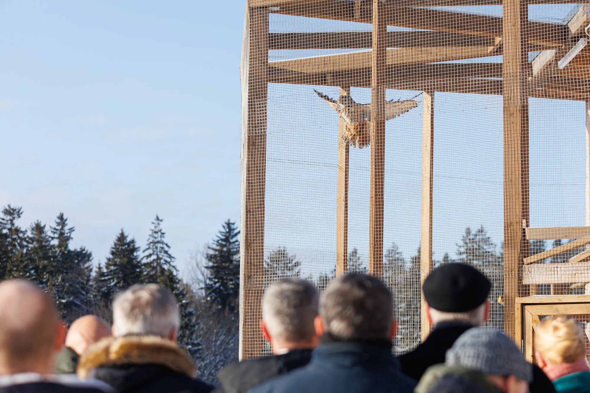 Laukinių gyvūnų globos centras