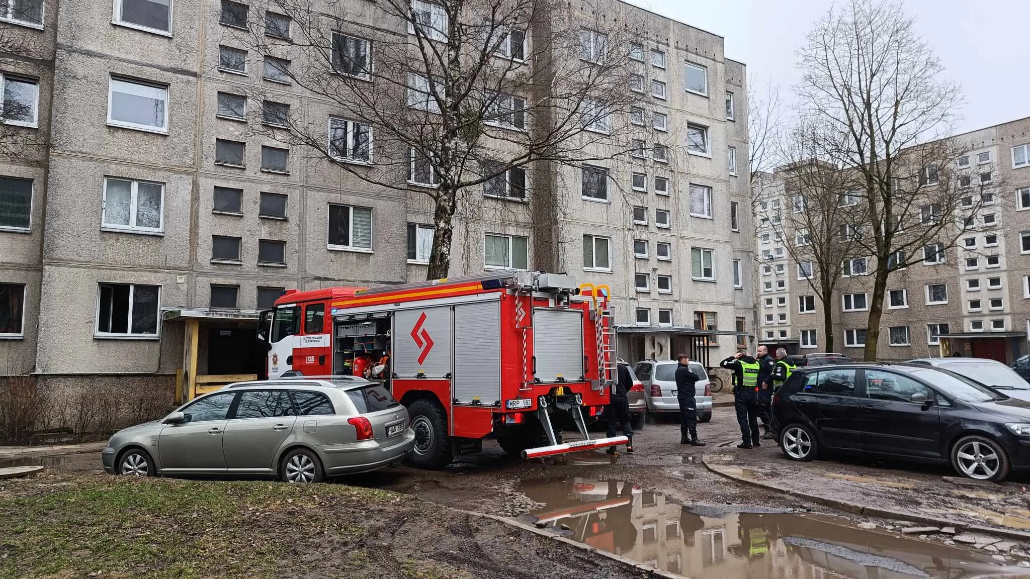 Gaisras Šiaurės pr. / R. Tenio nuotr.