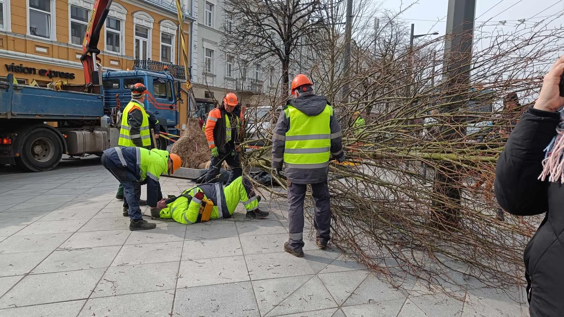 Ant darbininko užvirto nauja liepa