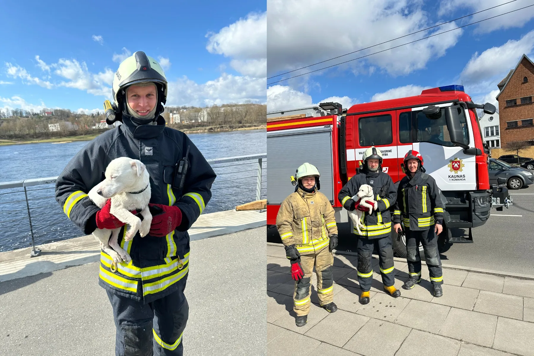Kauno ugniagesiai gelbėtojai išgelbėjo šunelį