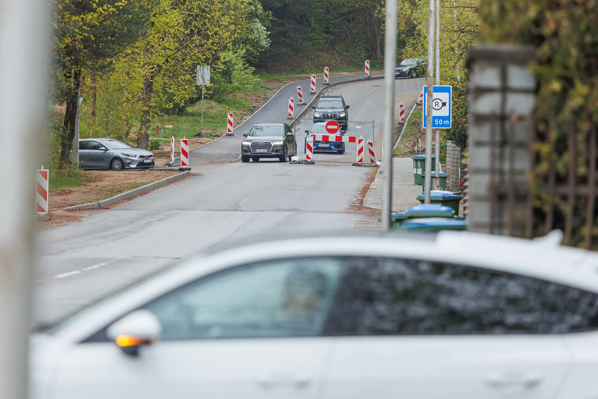 Romainių kalnas / R. Tenio nuotr.
