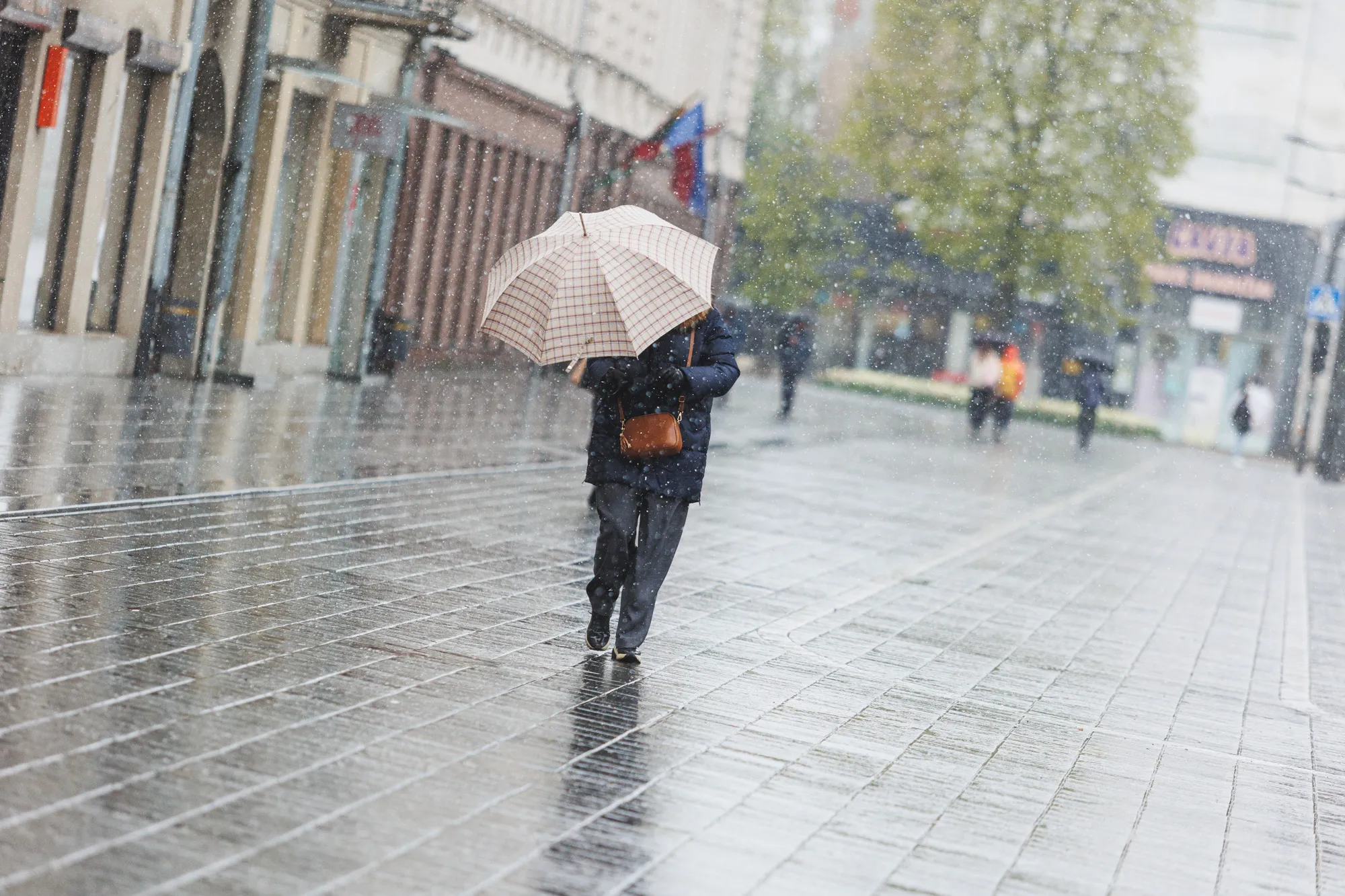Šlapdriba Kaune / R. Tenio nuotr.