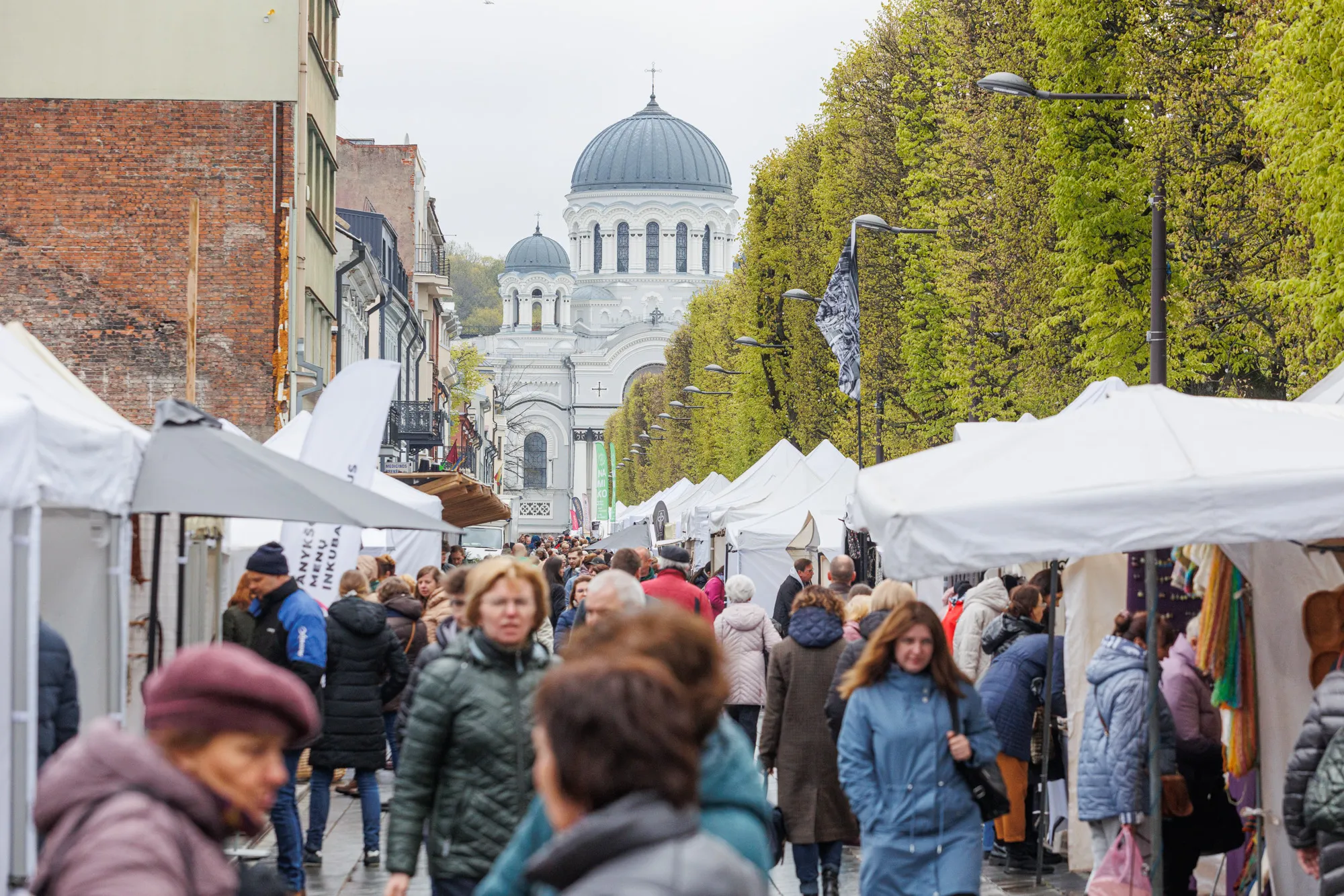 Pavasario mugė Laisvės alėjoje / R. Tenio nuotr.