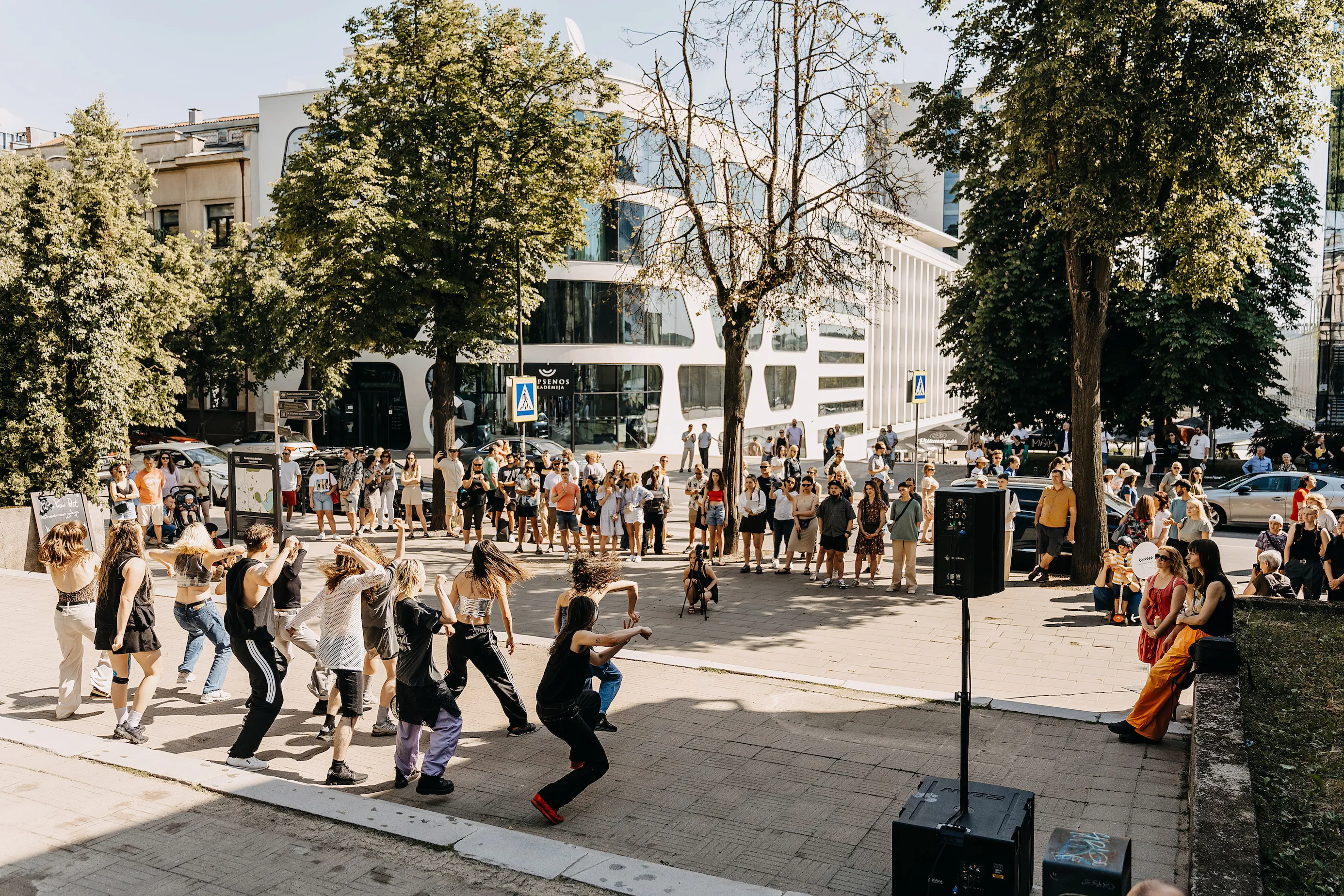 V. Putvinskio gatvės diena.