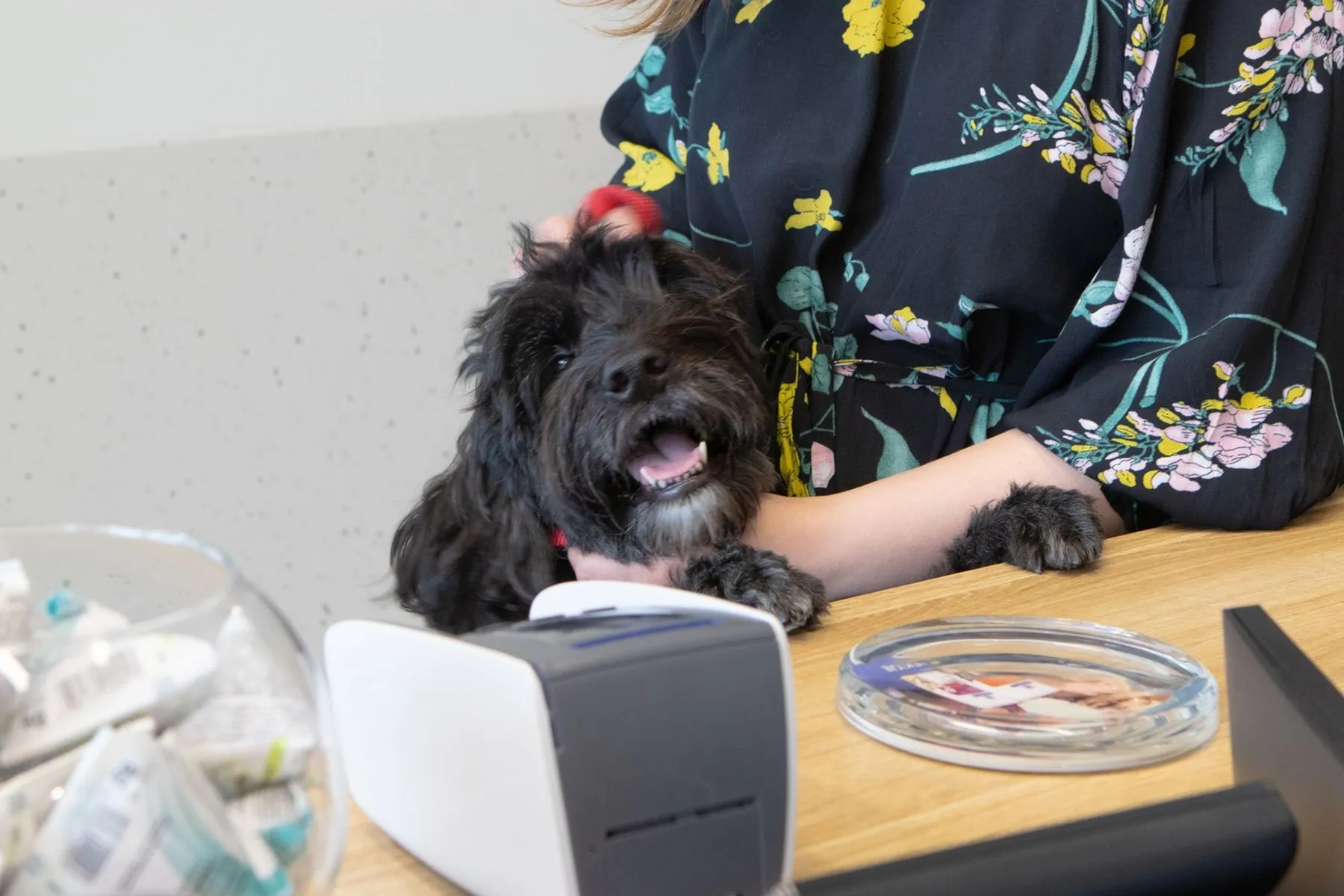 Gyvūnų ligoninės Kaune atidarymas /  Organizatorių nuotr.
