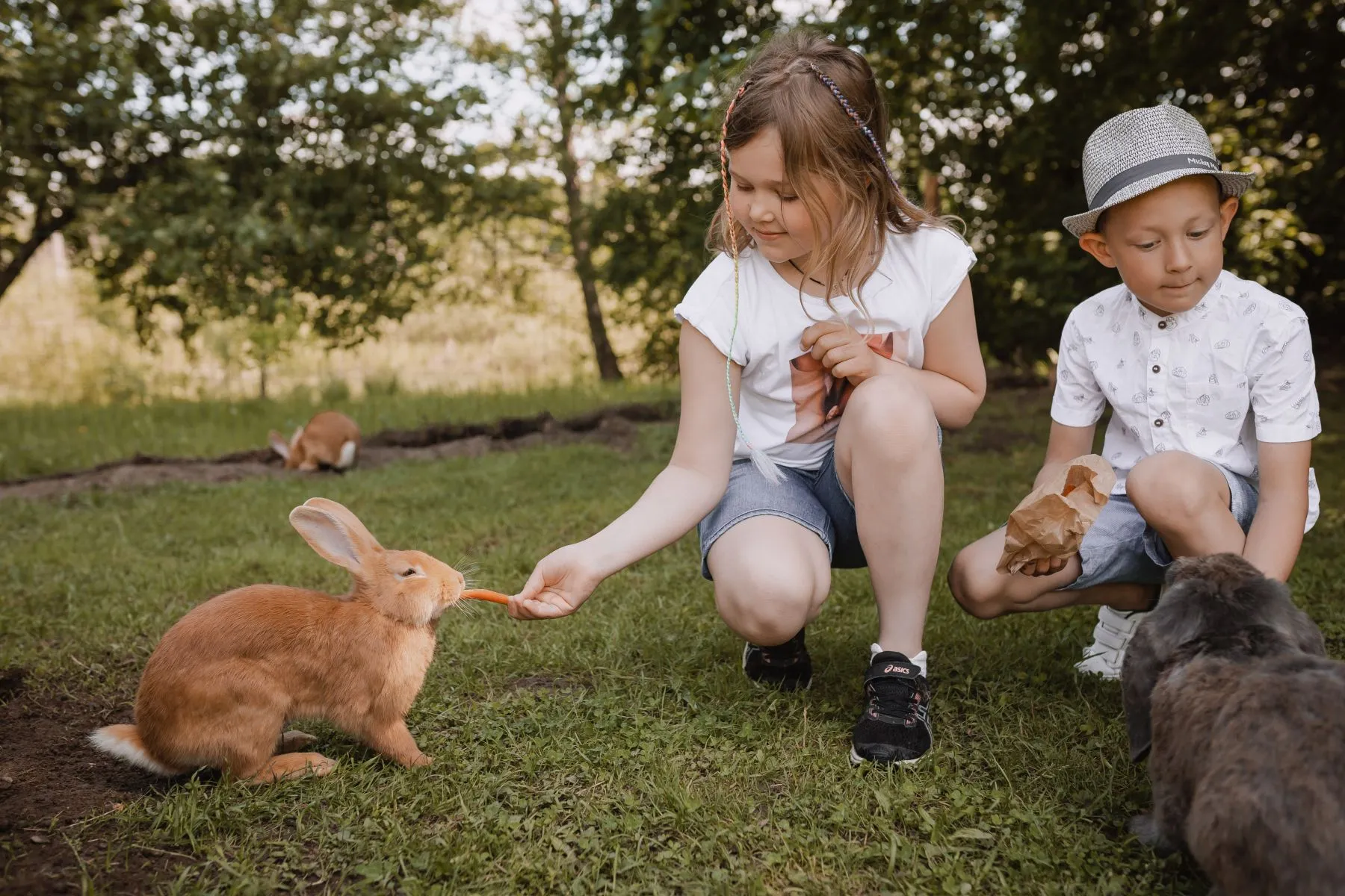 „Basomis per Kadagynę“ / Organizatorių nuotr.