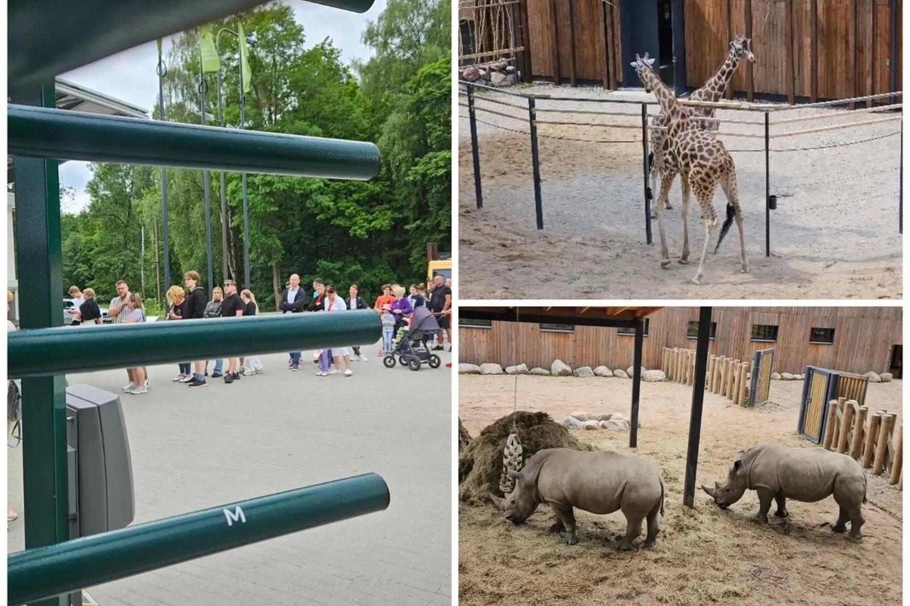 Eilės zoologijos sode