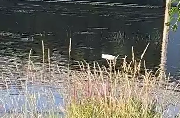 Ekrano kopija 2024-07-16 111850