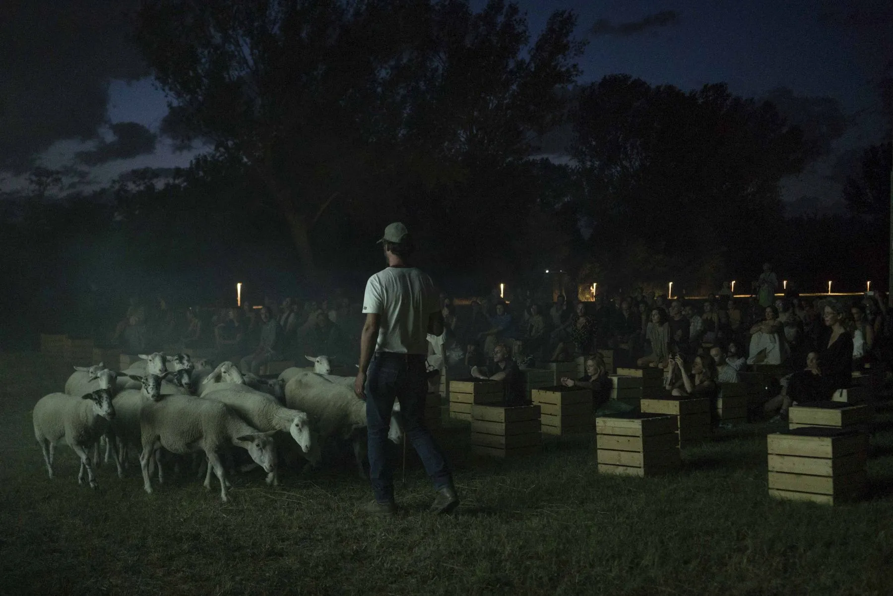 El Conde de Torrefiel