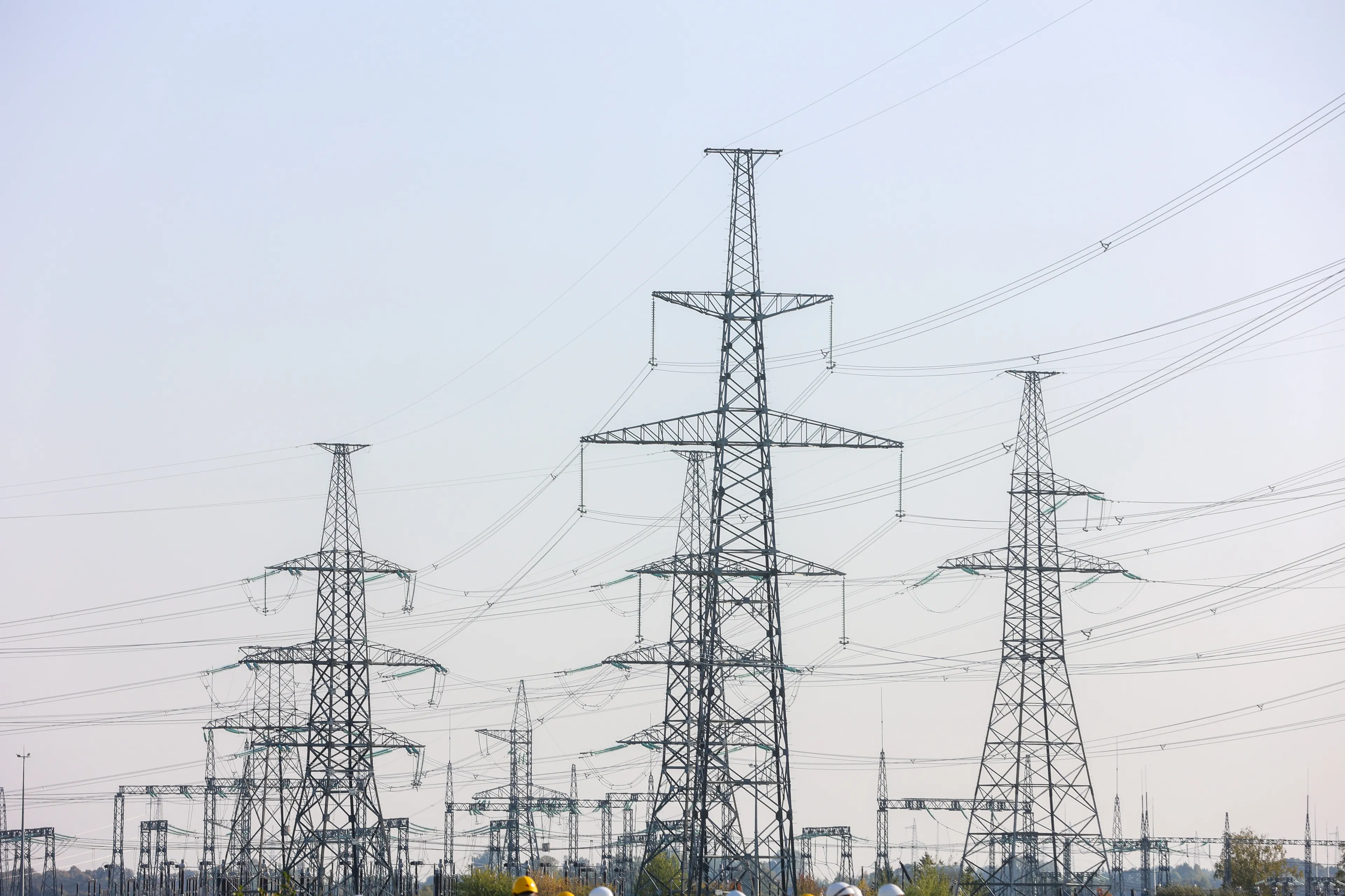 Asociatyvi / BNS, T. Biliūno nuotr.