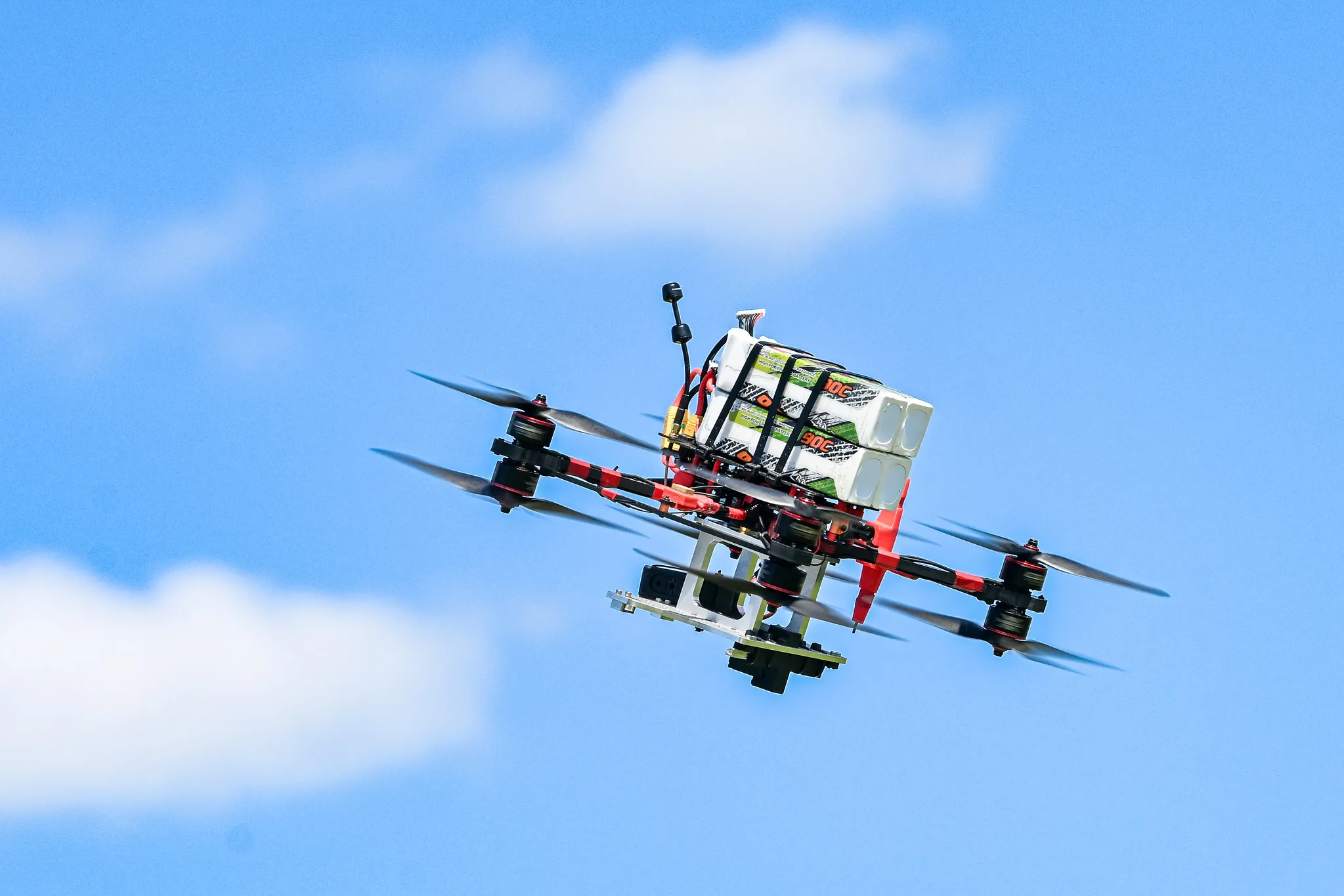 Dronai (A. Pliadžio nuotr.)