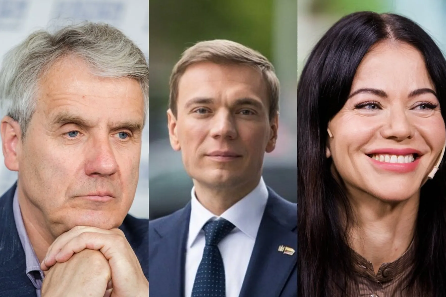 D. Arlauskas, M. Puidokas, A. Pilvelytė