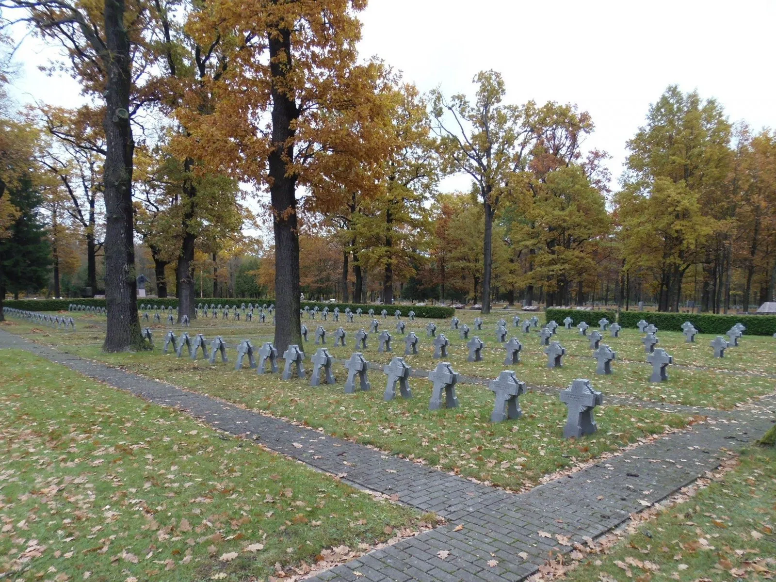 Karių kapinės Aukštuosiuose Šančiuose / KPD nuotr.