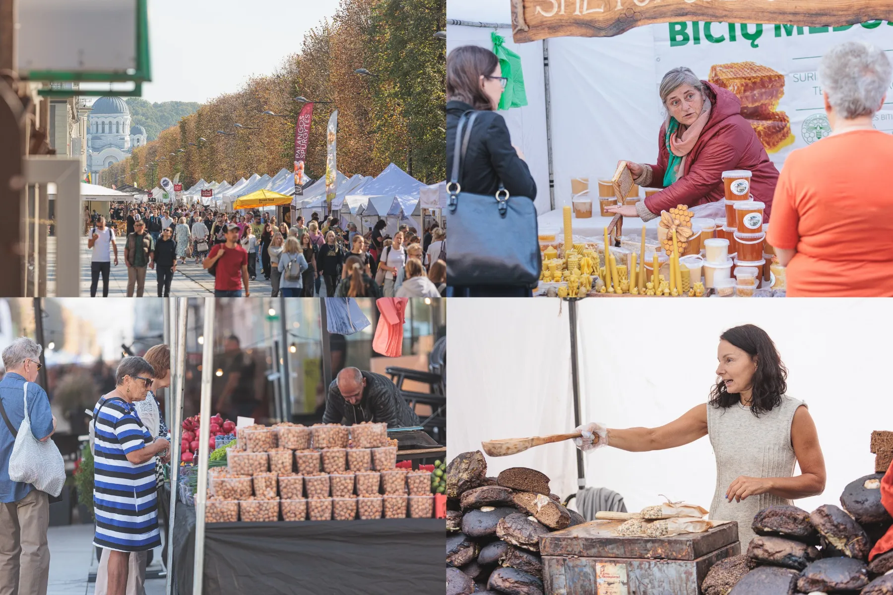 Rudens mugė Laisvės alėjoje / R. Tenio nuotr.