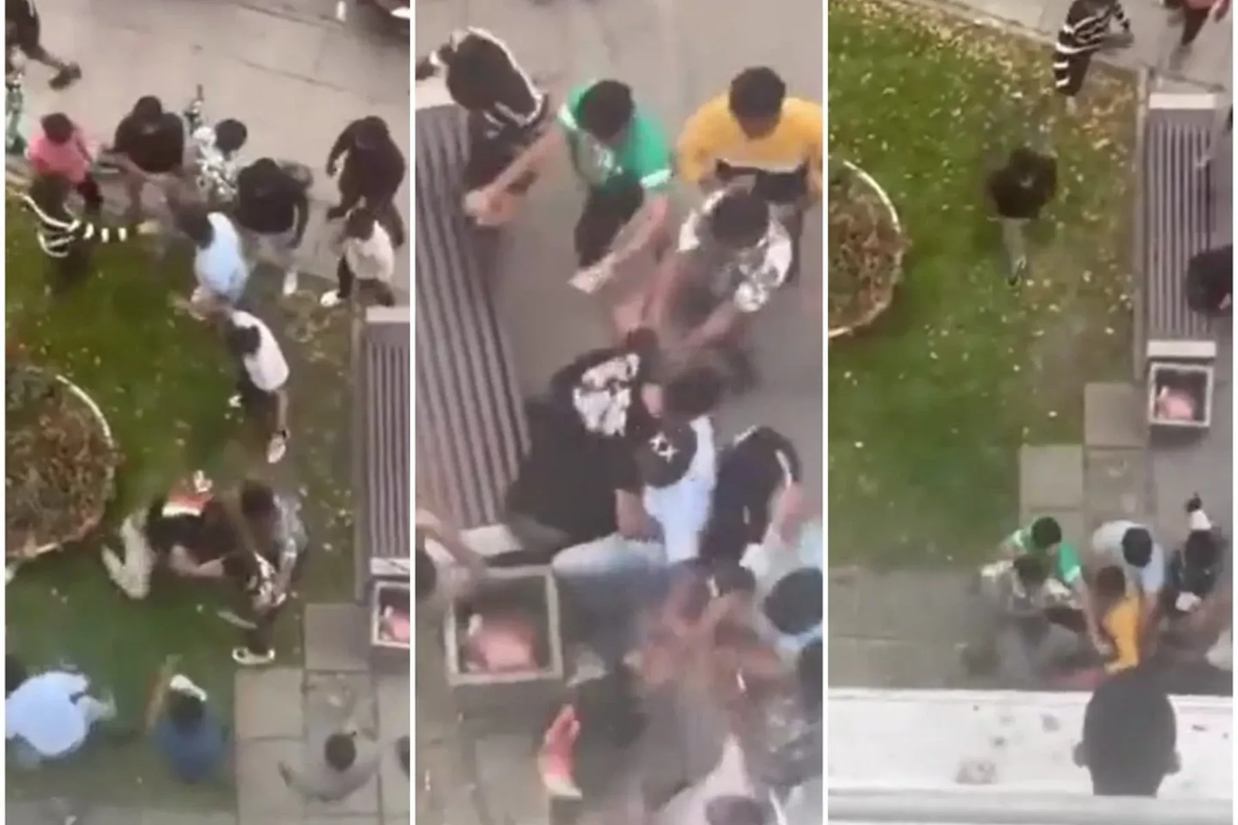 Studentų muštynės