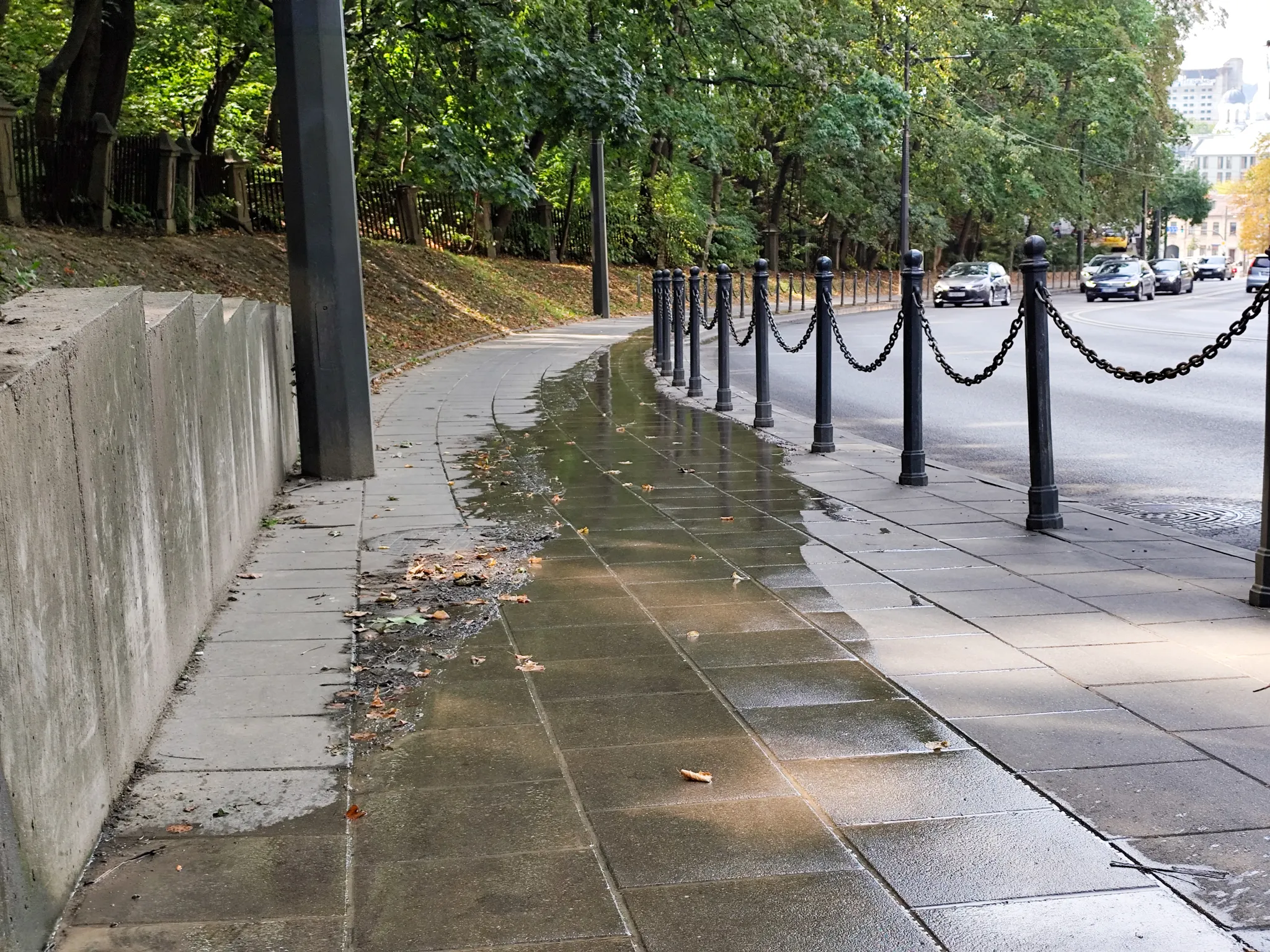 Kanalizacijos nuotėkis Parodos gatvėje / R. Tenio nuotr