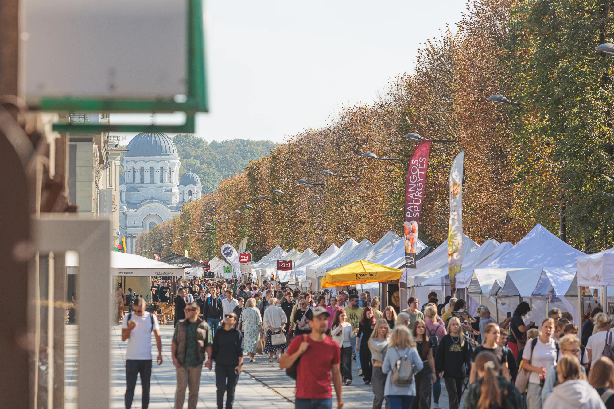 Rudens mugė Laisvės alėjoje / R. Tenio nuotr.