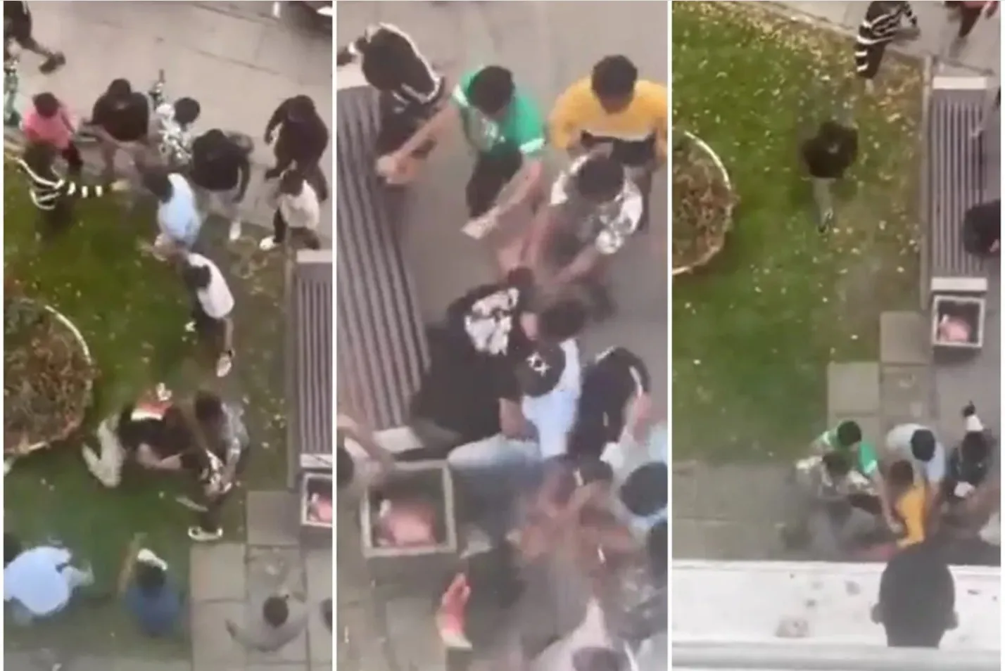 Studentų muštynės