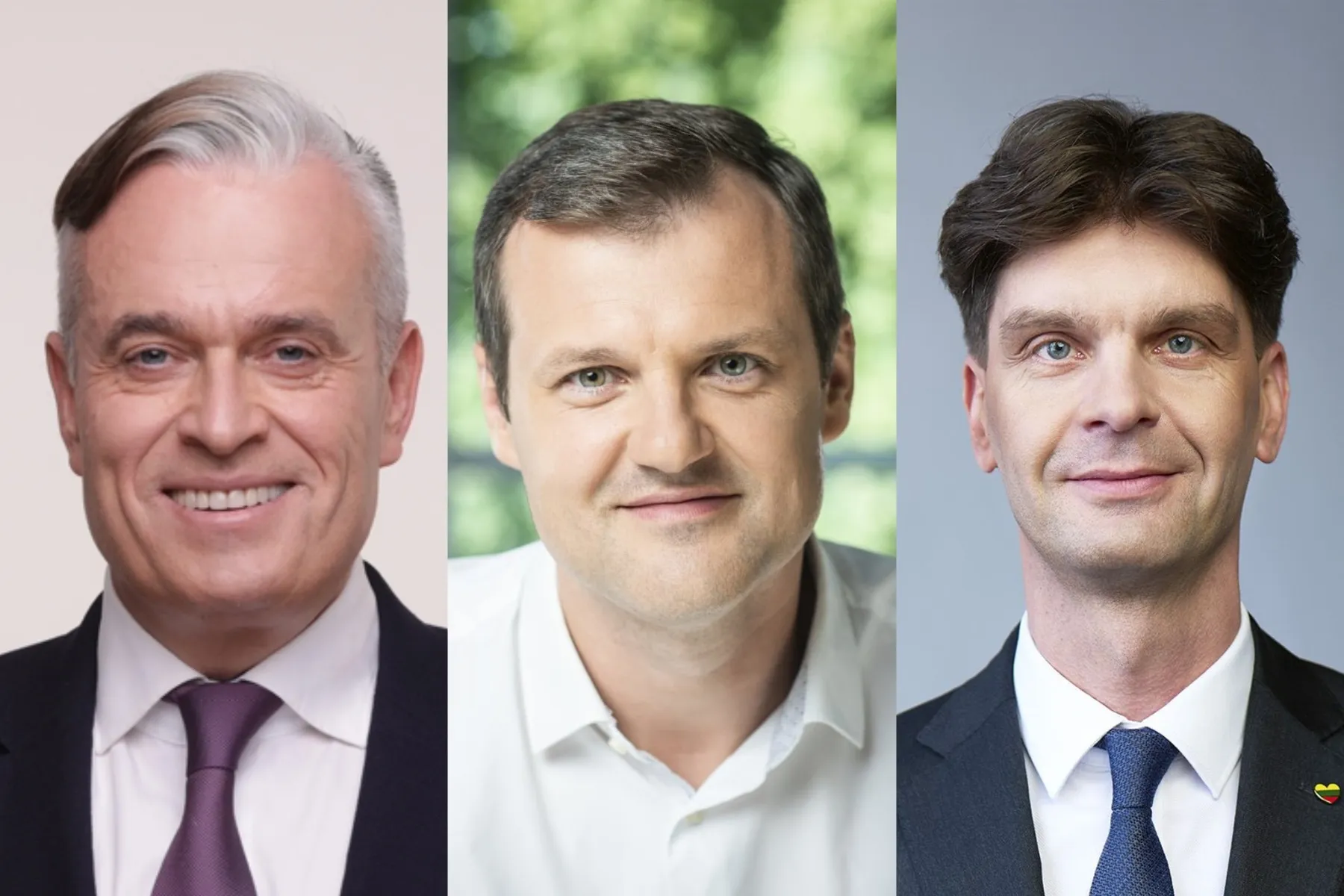 Dainoras Bradauskas, Gintautas Paluckas ir Ignas Vėgėlė / VRK nuotr.