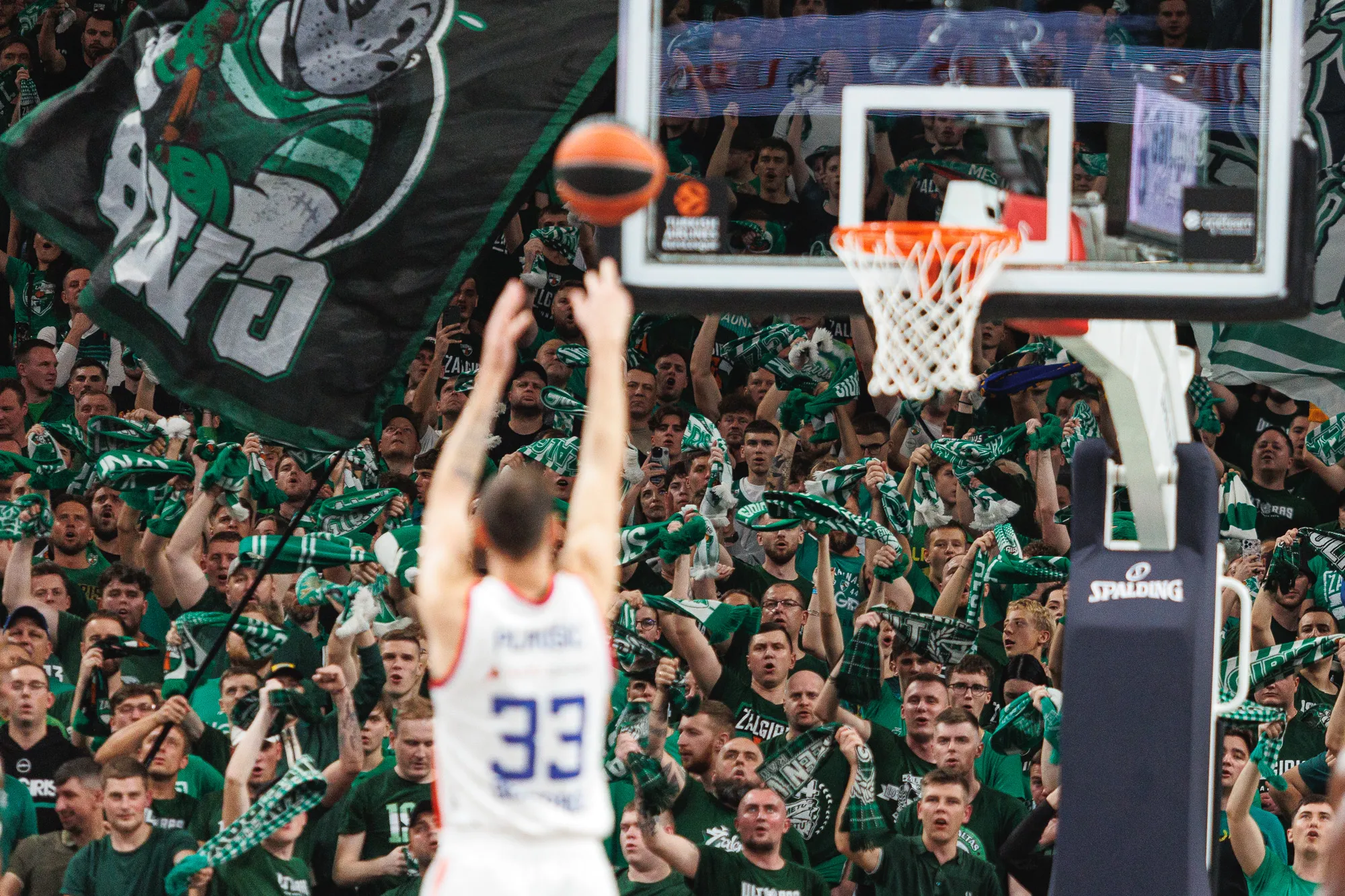 „Žalgiris“ – „Crvena Zvezda“ / R. Tenio nuotr.