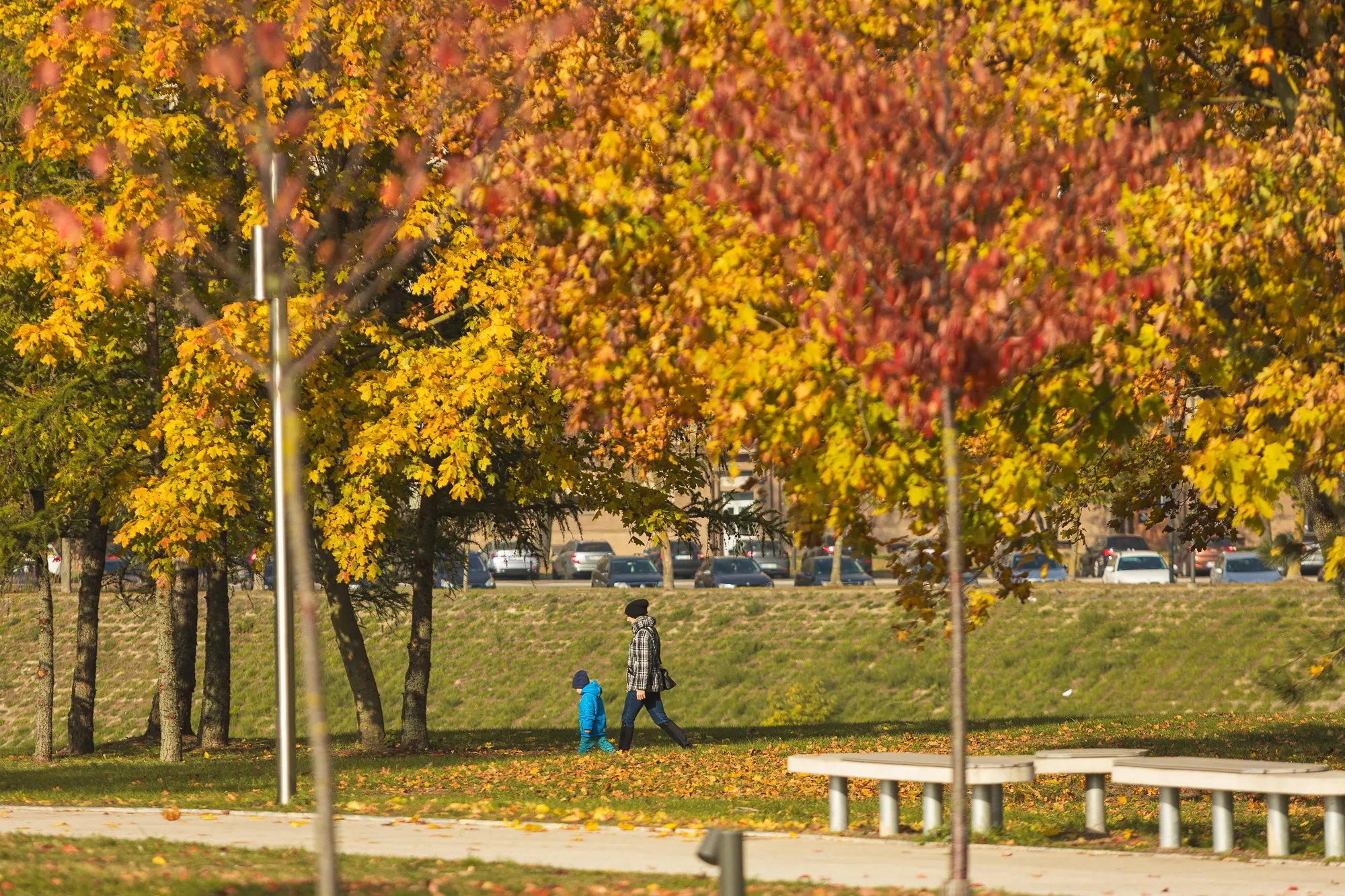Ruduo Nemuno saloje / R. Tenio nuotr.