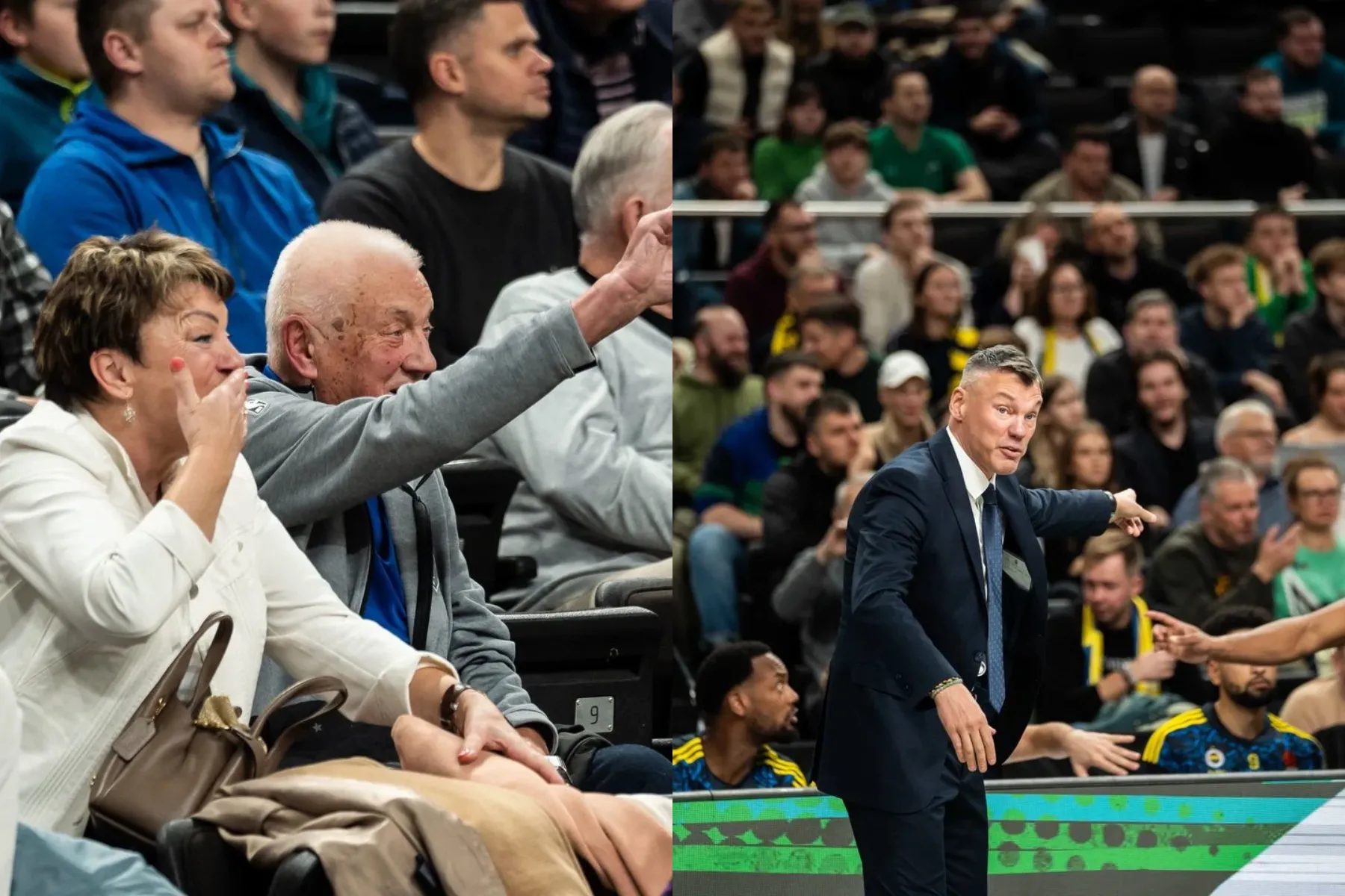 Šarūnas Jasikevičius