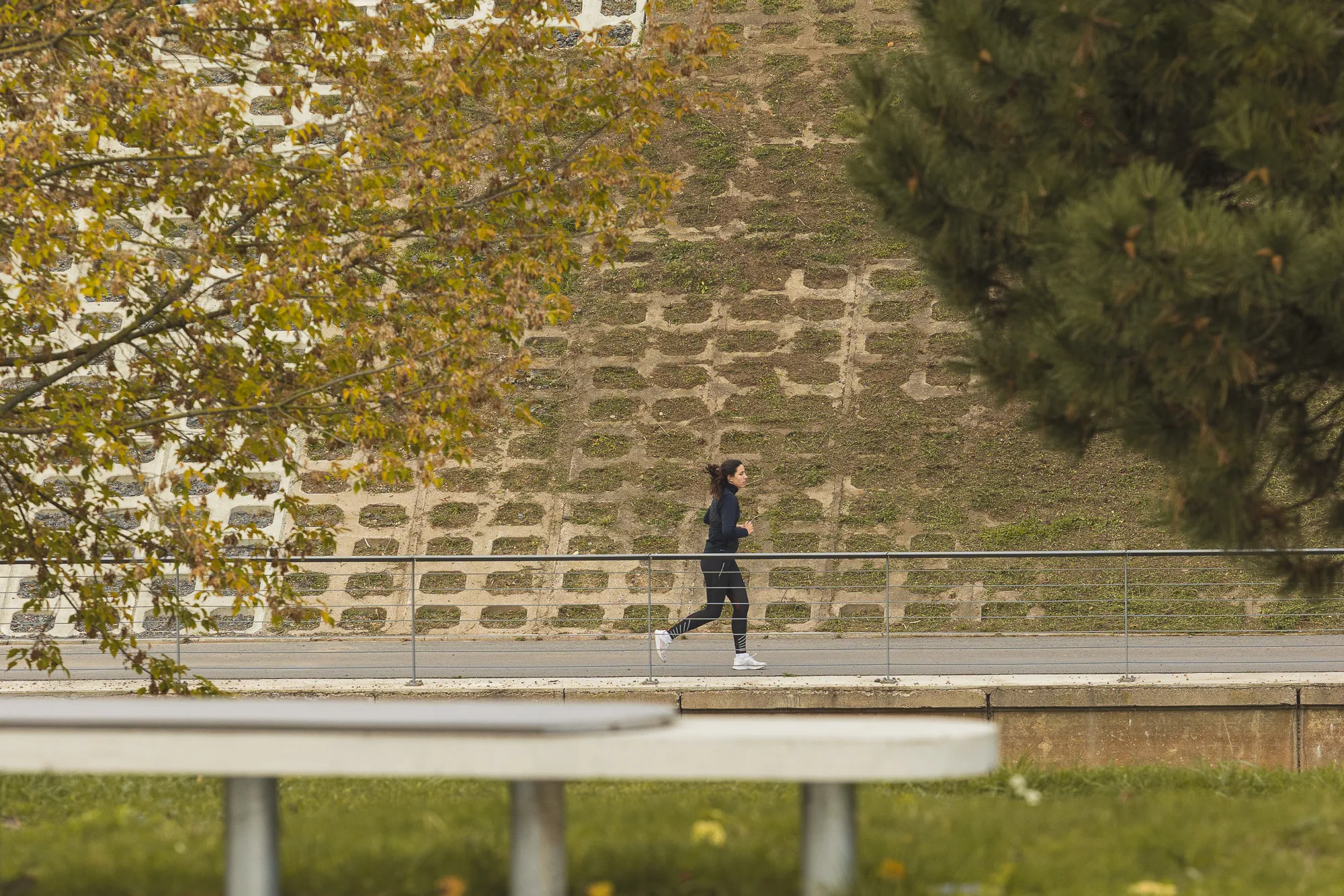 Ruduo Nemuno saloje / R. Tenio nuotr.