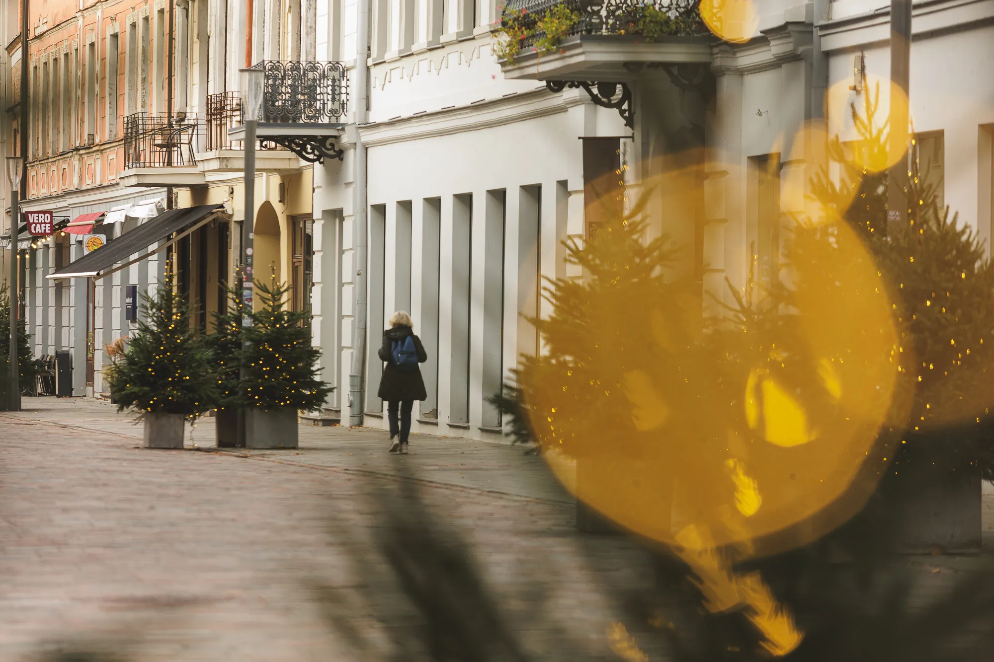 Eglutės Vilniaus gatvėje / R. Tenio nuotr.