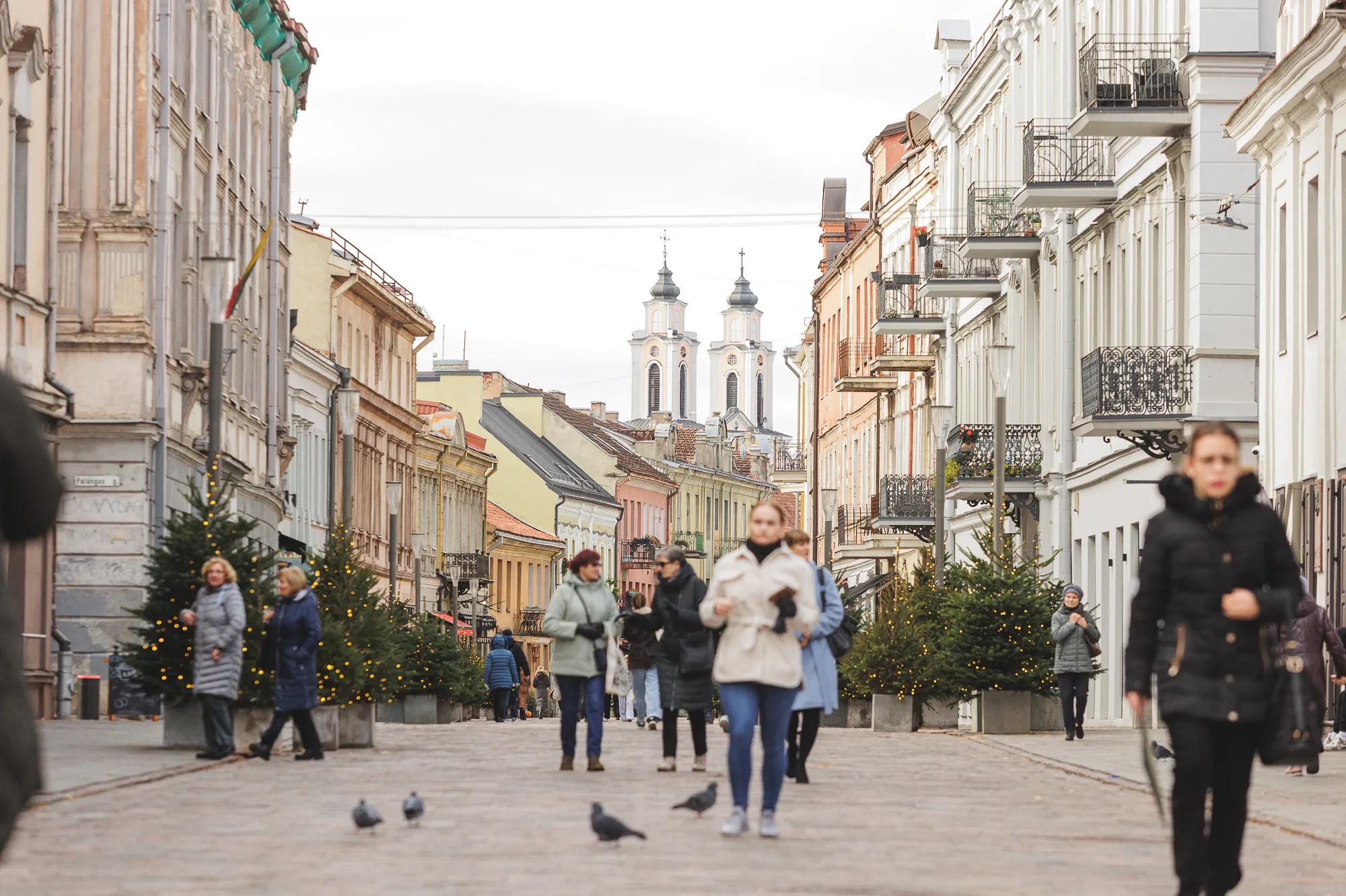Eglutės Vilniaus gatvėje / R. Tenio nuotr.