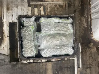 Sulaikytos kanapės / Marijampolės apskr. VPK nuotr.