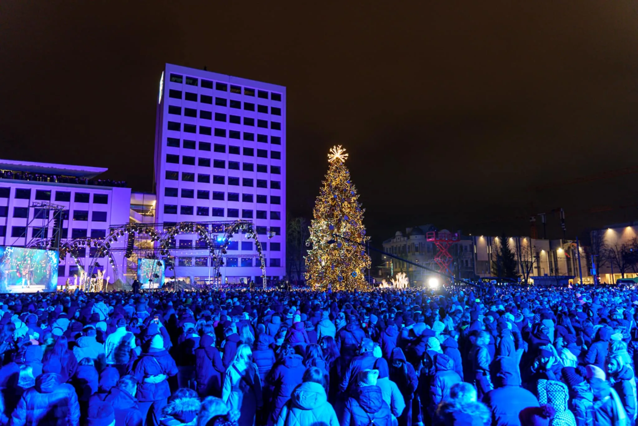 Įžiebta Kauno Kalėdų eglė / R. Tenio nuotr.