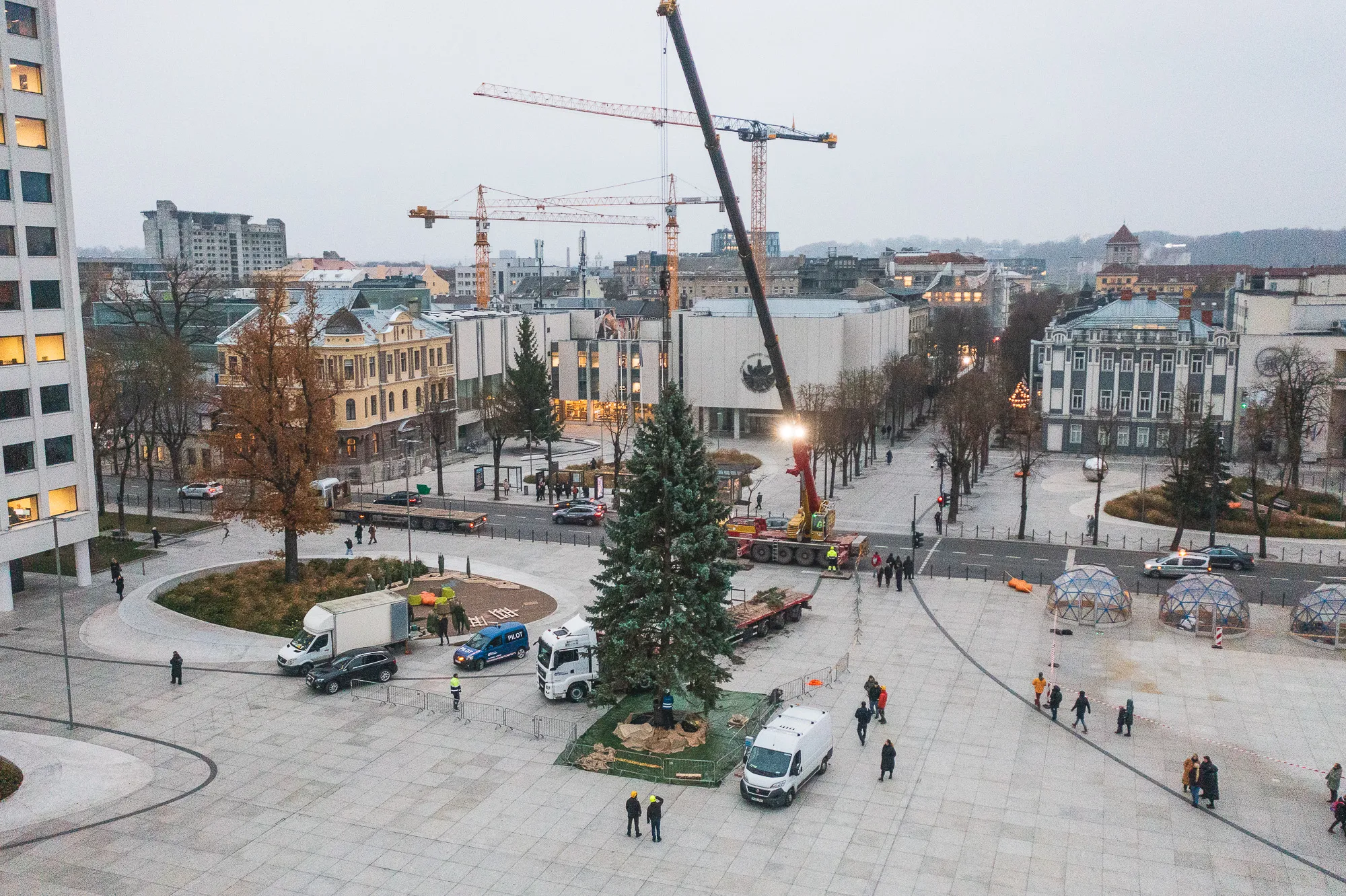 Kalėdų eglė atvežta į Vienybės aikštę / R. Tenio nuotr.