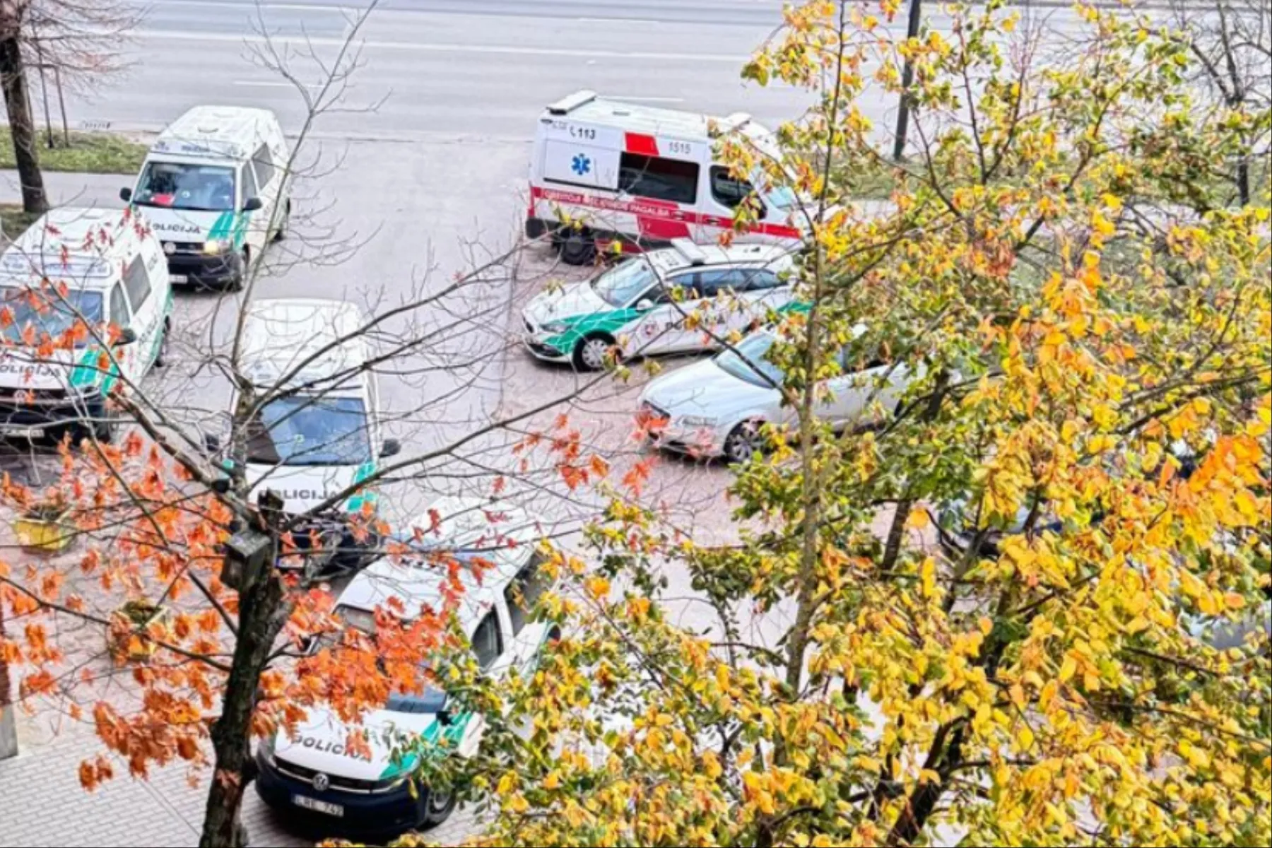 Policijos pajėgos Raudondvario pl. / Skaitytojų nuotr.