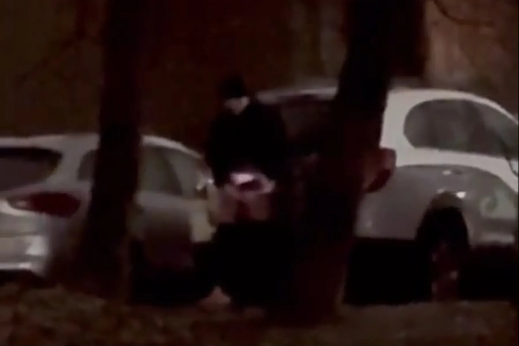 Aistrą viešumoje tenkinantis vyras / Skaitytojų nuotr.