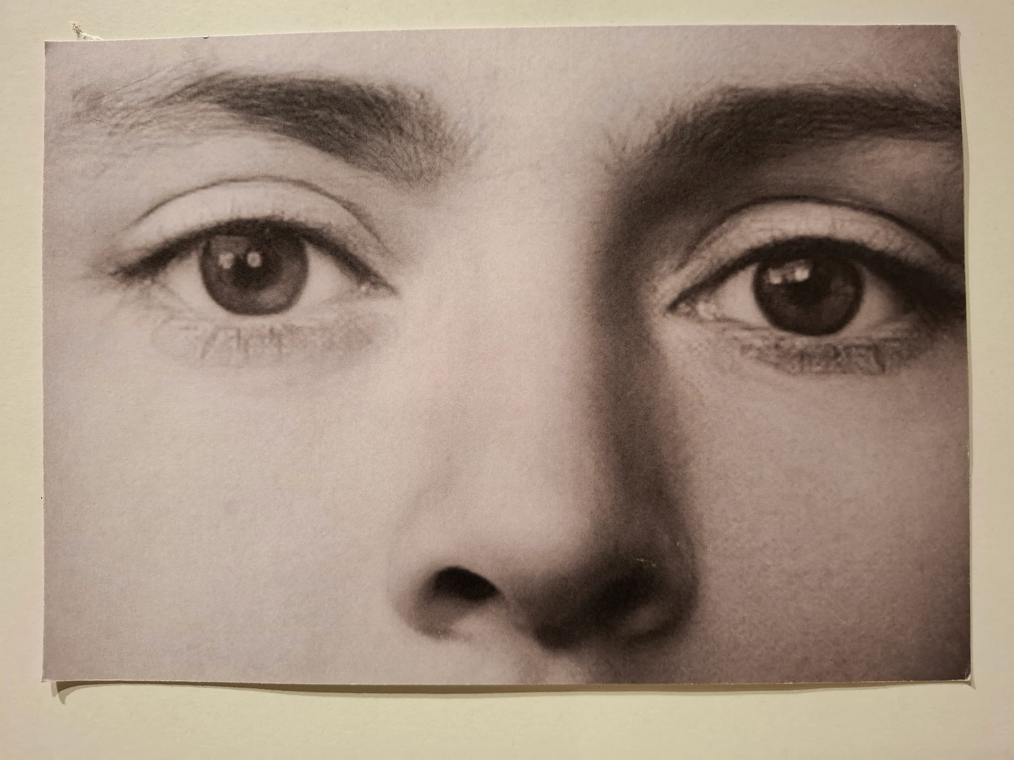 Daliai Grinkevičiūtei skirta paroda „Išnykę atstumai“./S. Javaitytės nuotr.