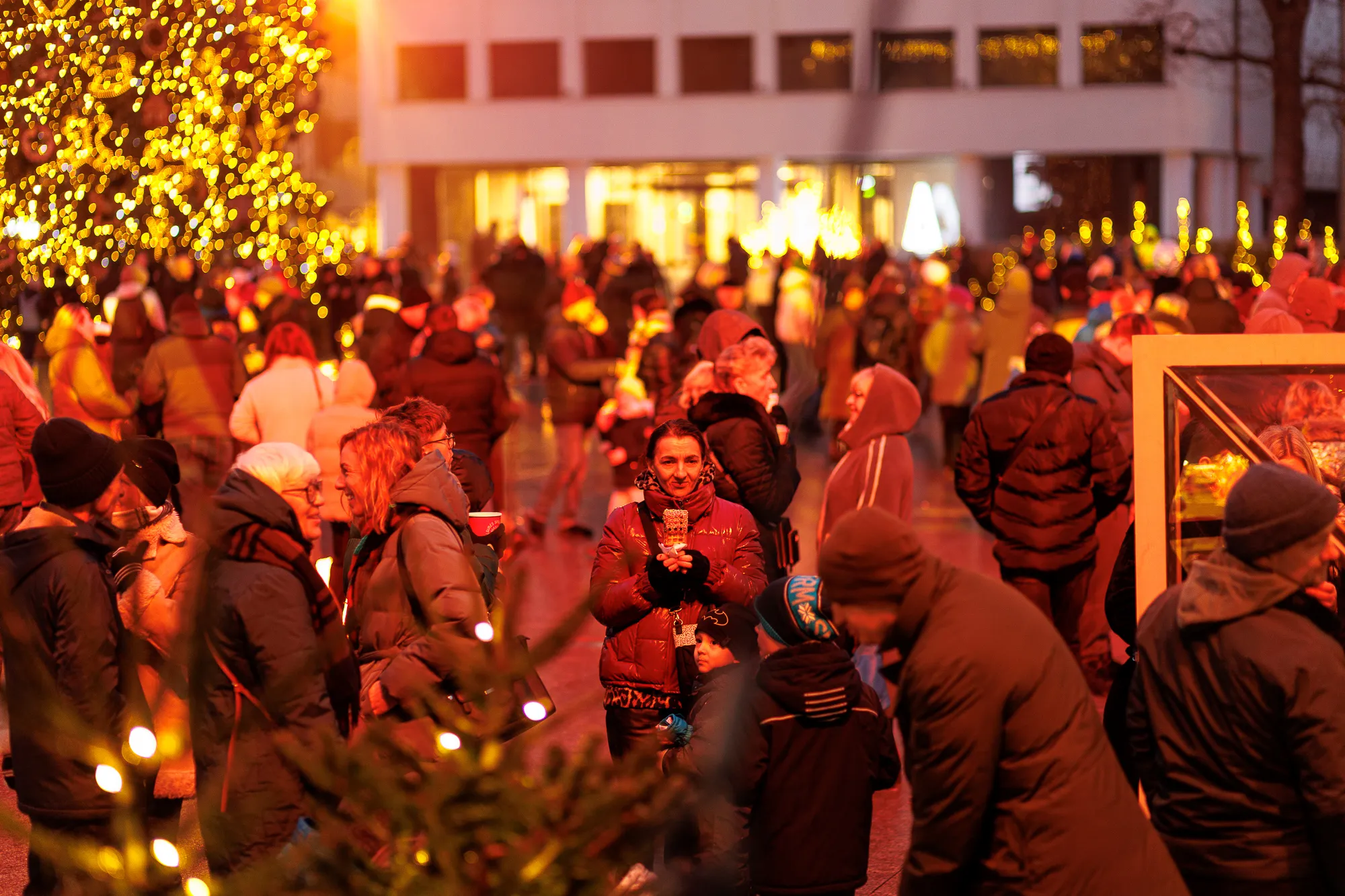 Kauno Kalėdų eglutė / R. Tenio nuotr.
