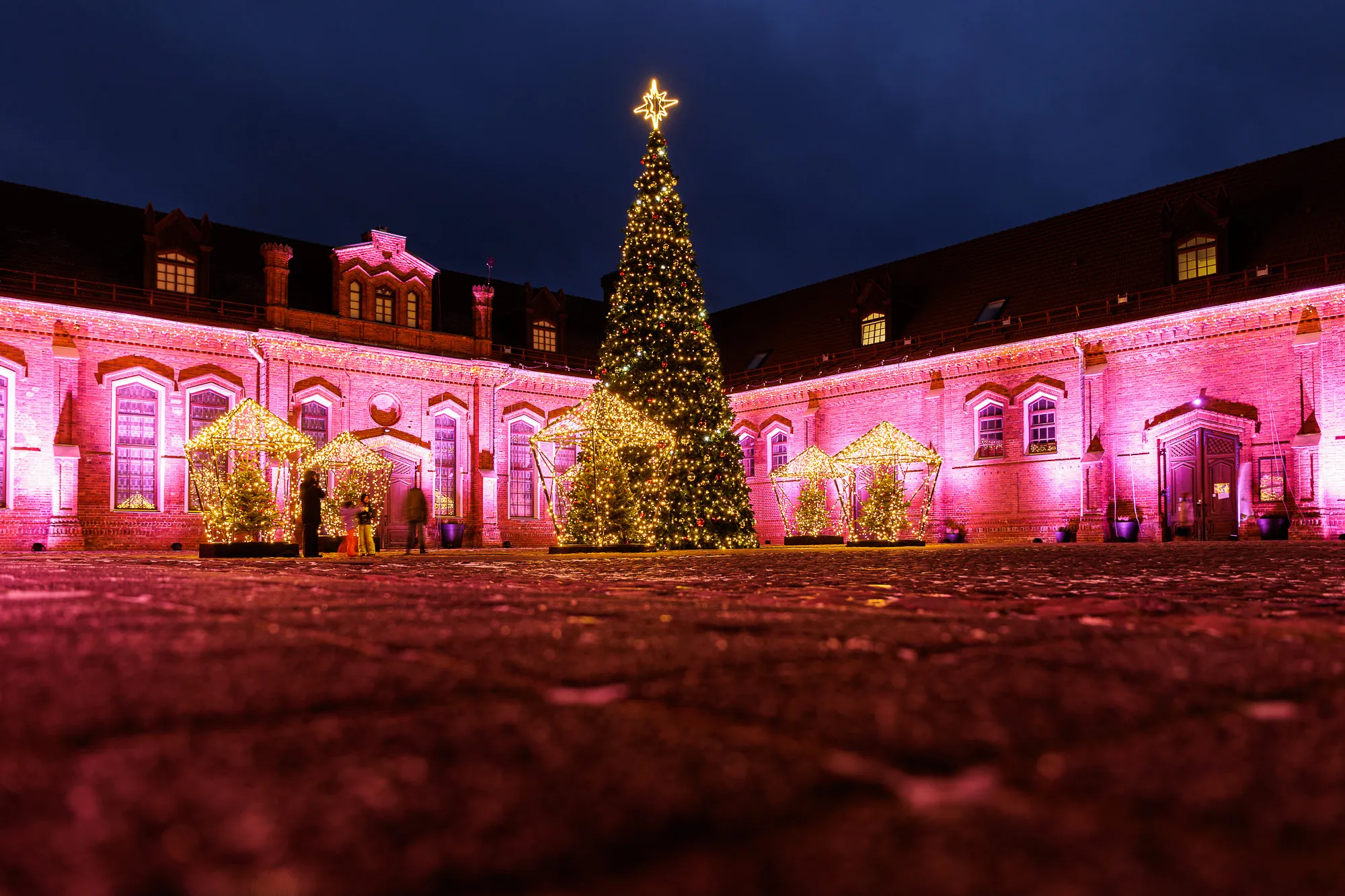 Raudondvario eglutė / R. Tenio nuotr.