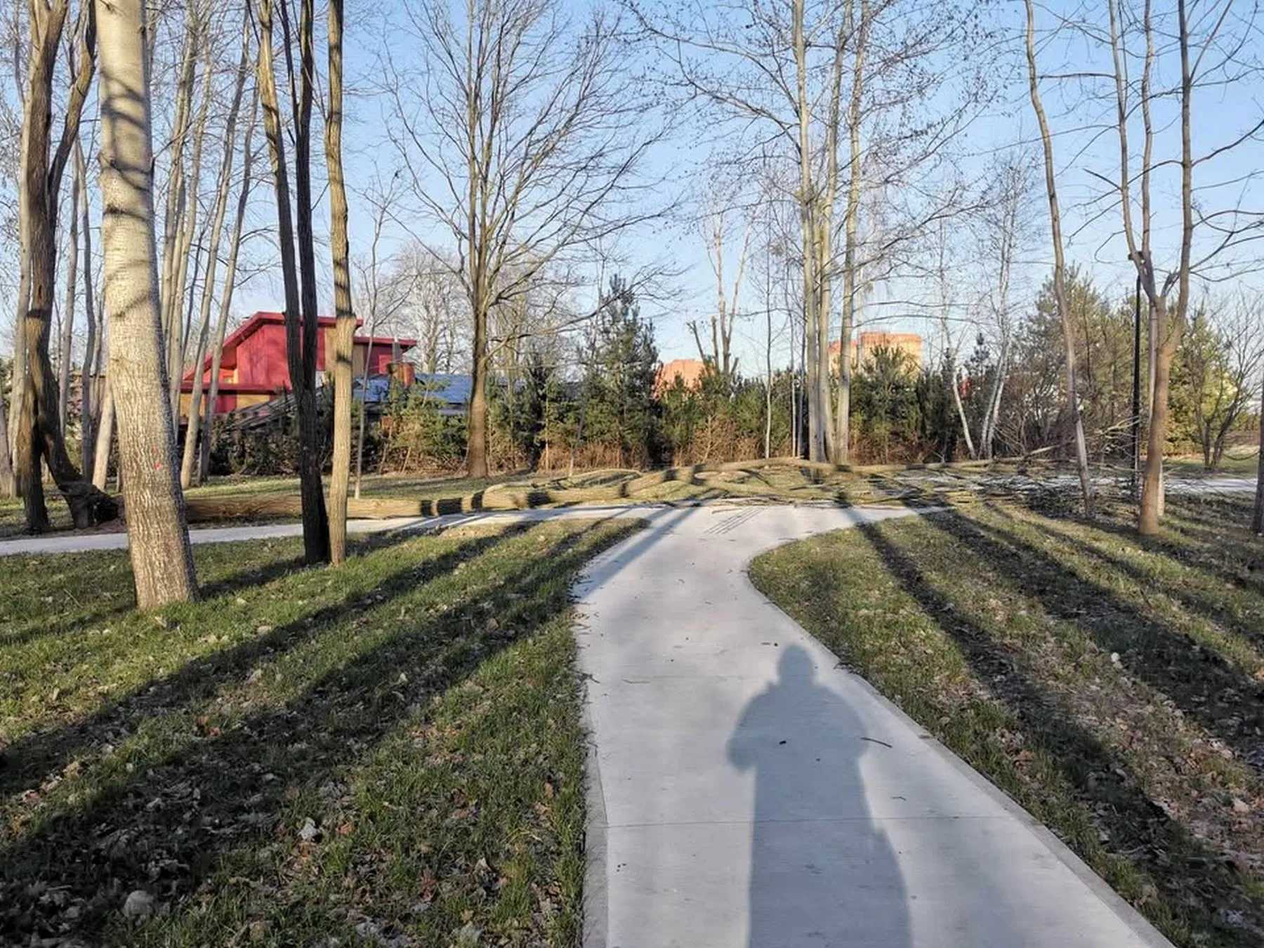 Naujakurių parke jau lūžta medžiai / Skaitytojo nuotr.