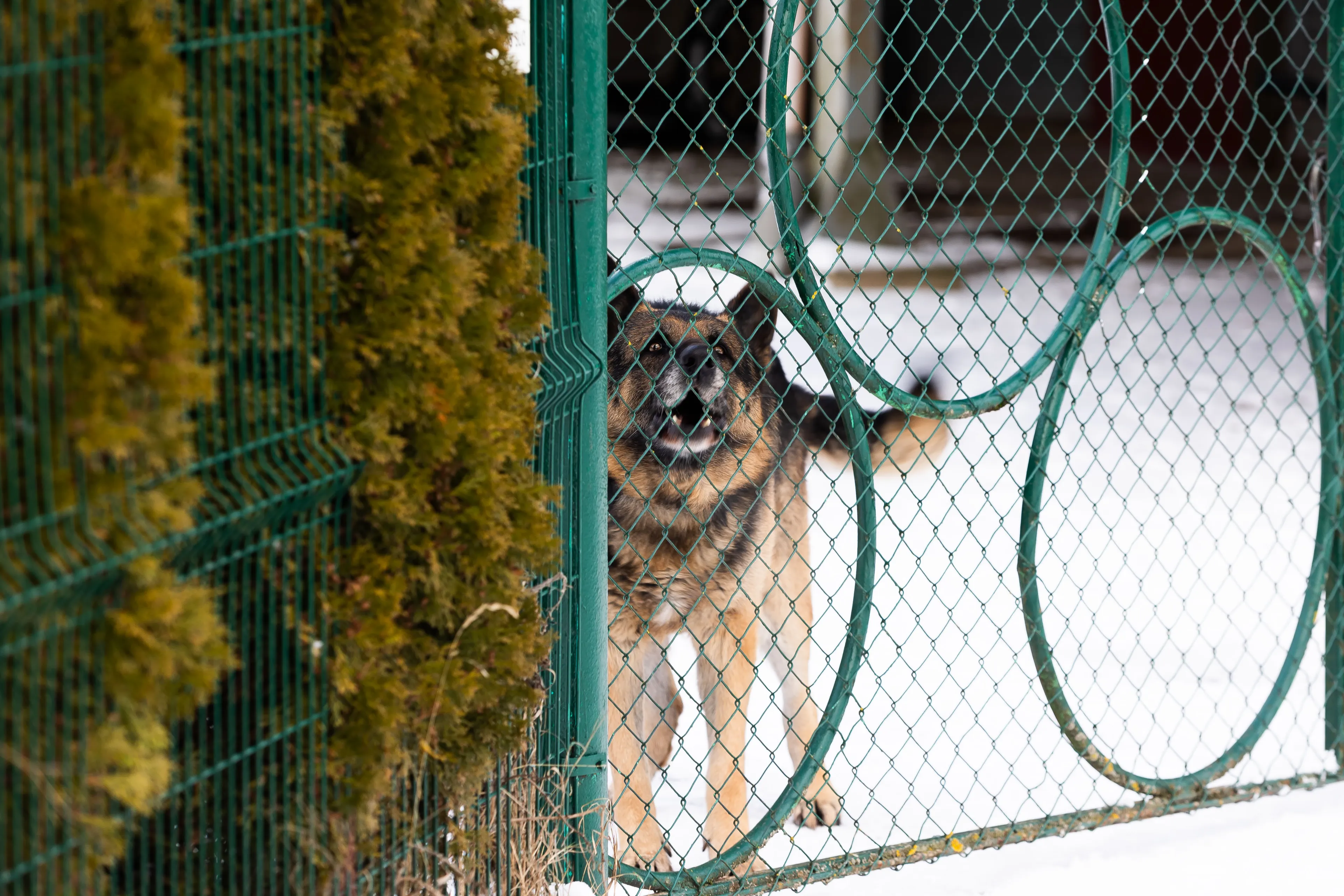 Asociatyvi / ELTA / D. Labutis